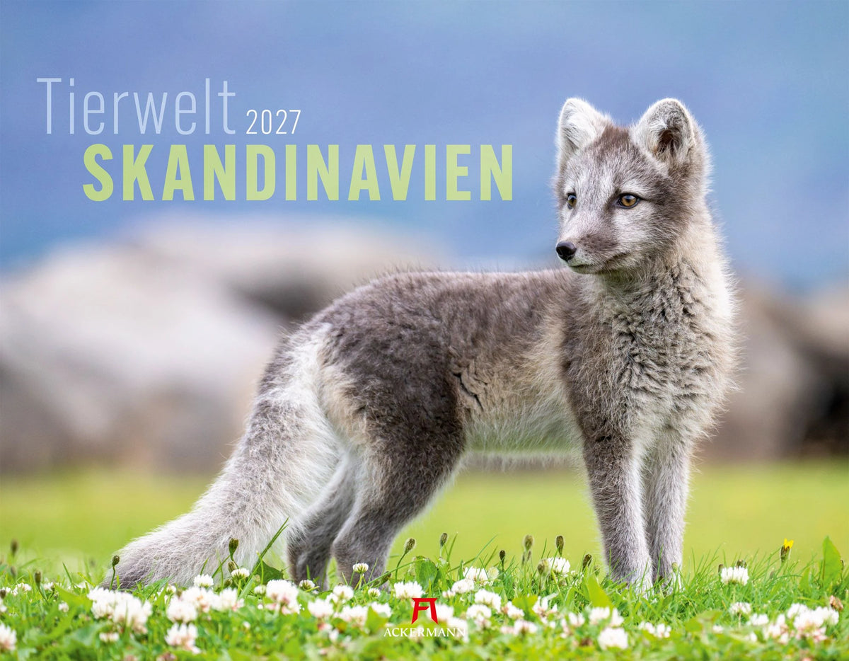 Wandkalender: Tierwelt Skandinavien Kalender 2027