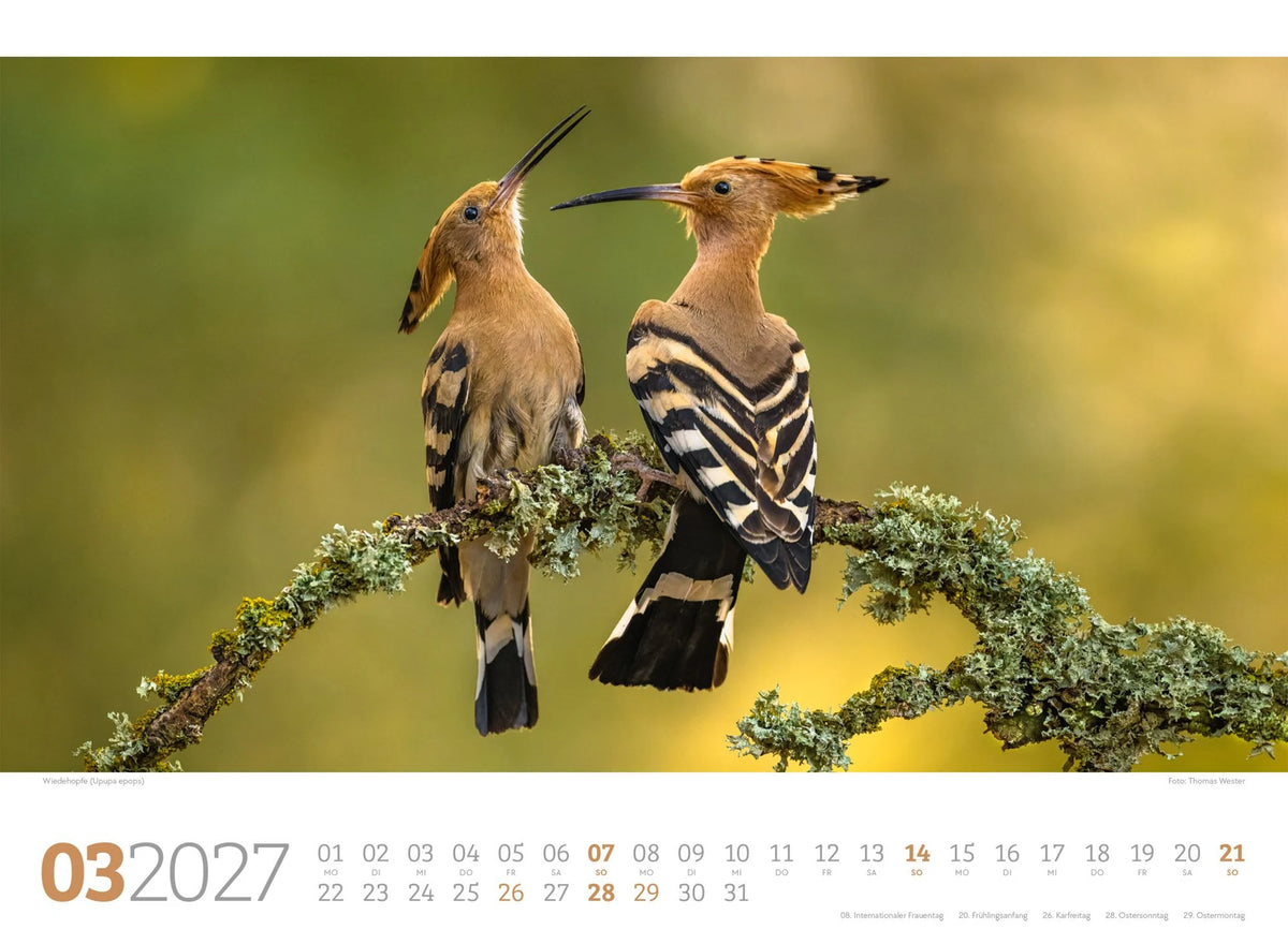 Tierwelt Wald Kalender 2027 – Ansicht