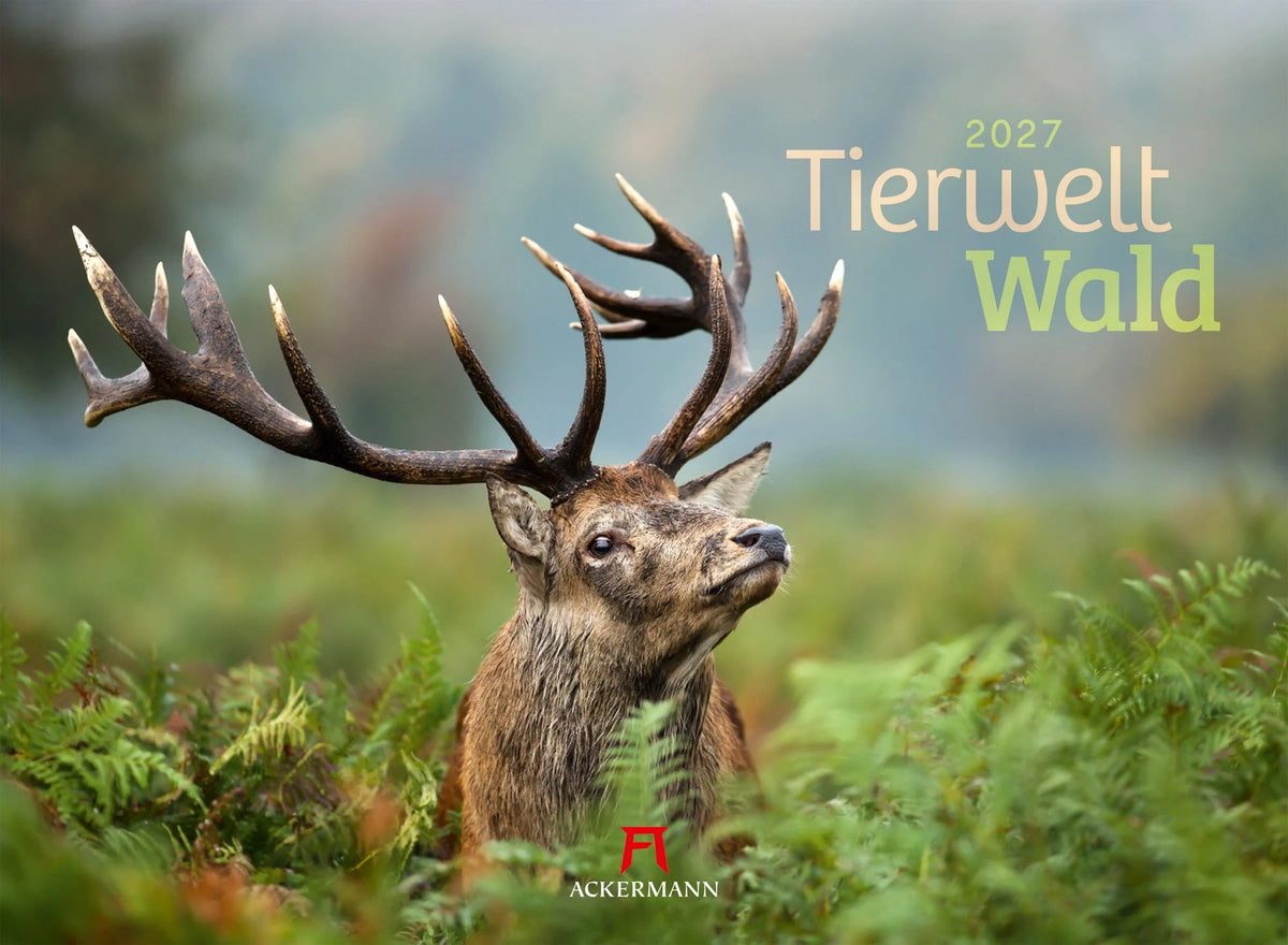 Wandkalender: Tierwelt Wald Kalender 2027