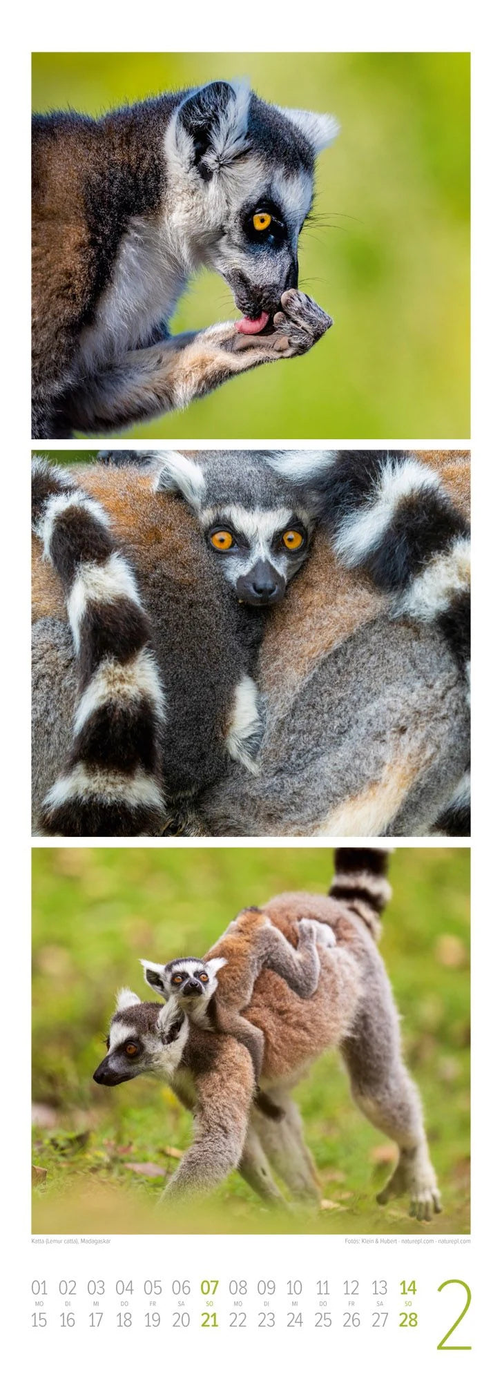 Tierwelten Triplet-Kalender 2027 | Artenvielfalt & Lebensräume – Ansicht
