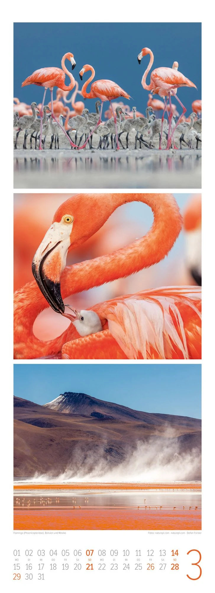 Tierwelten Triplet-Kalender 2027 | Artenvielfalt & Lebensräume – Ansicht