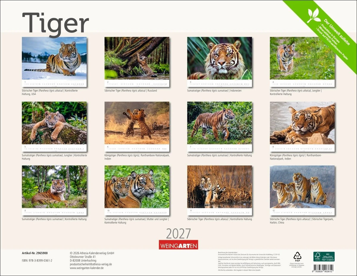 Tiger Kalender 2027 – Ansicht