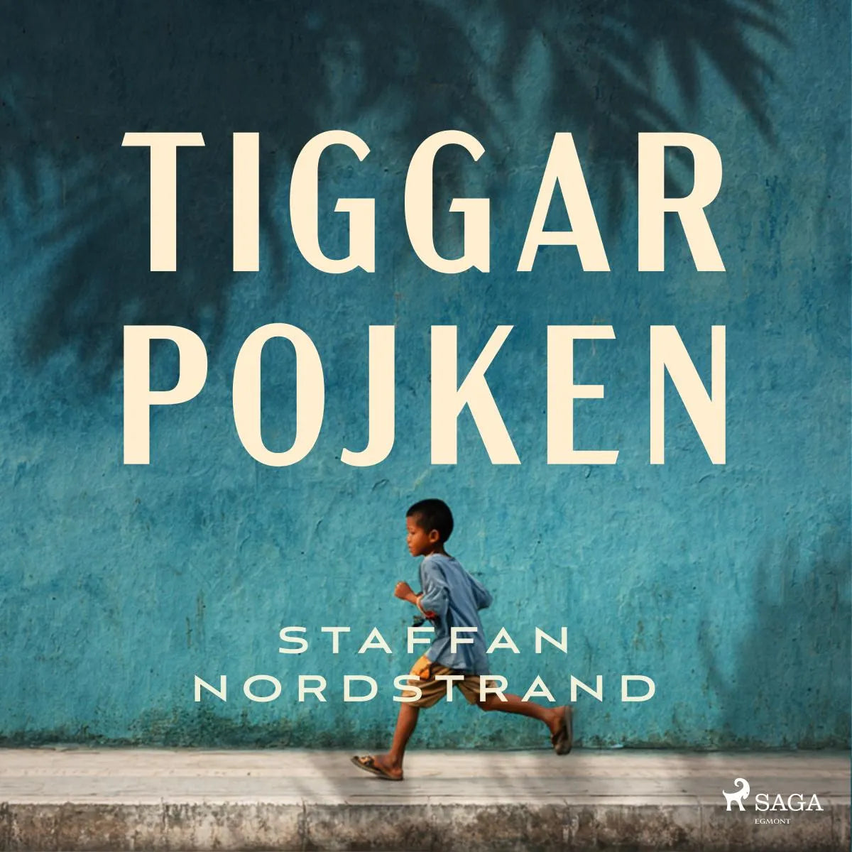 Cover: Tiggarpojken (Hörbuch Download) von Staffan Nordstrand