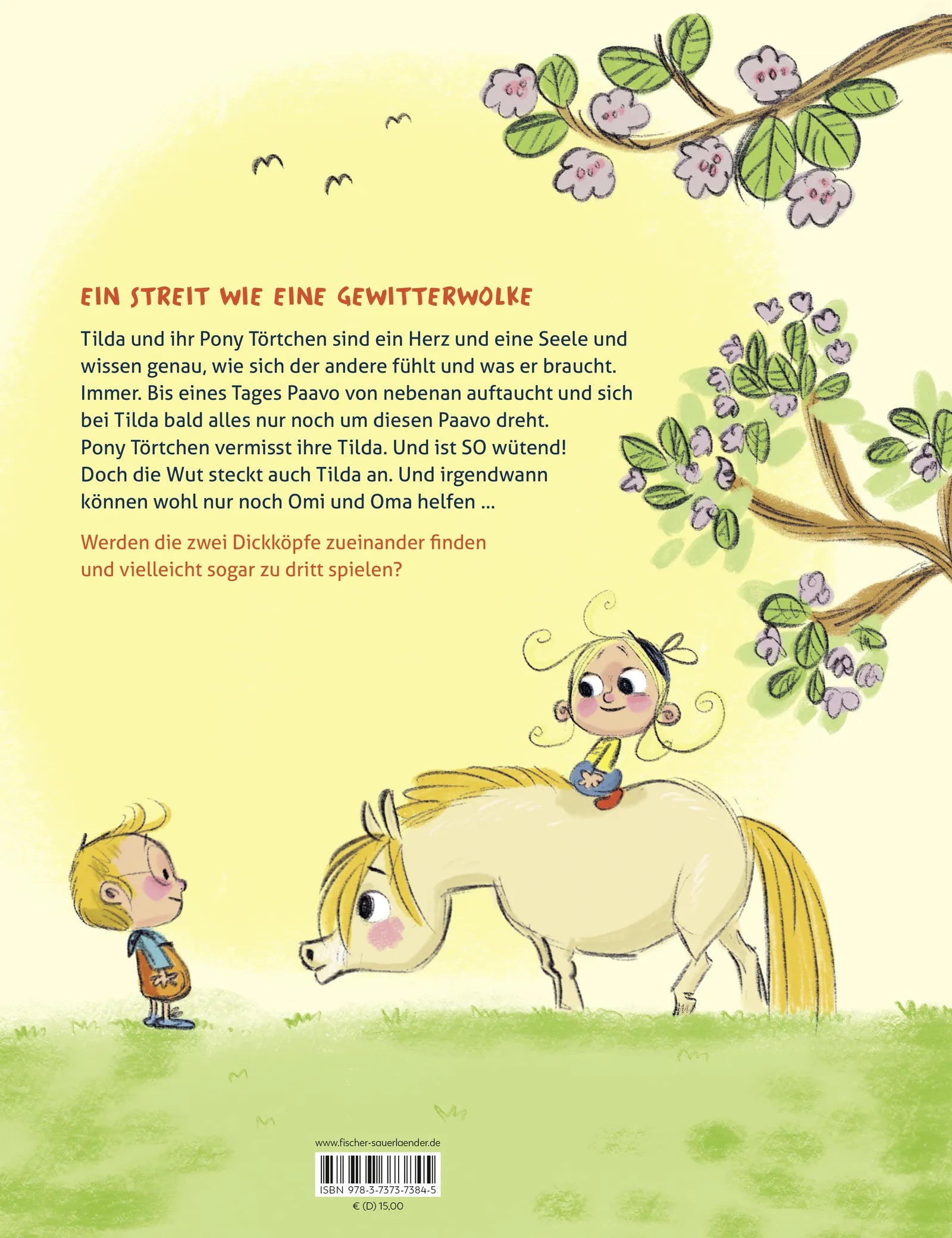 Buchrückseite von 'Tilda und Pony Törtchen' mit Klappentext - Gebundene Ausgabe