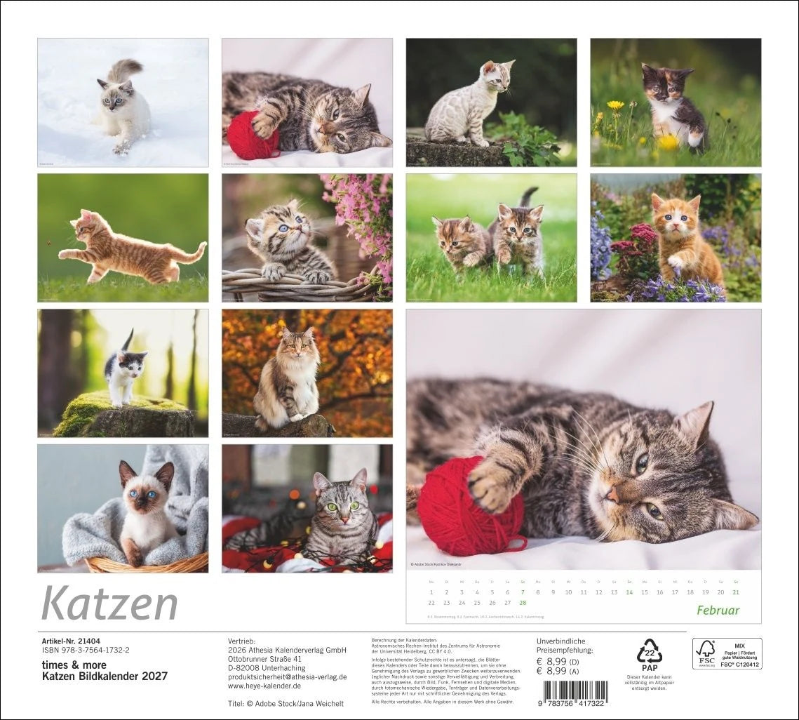 times&more Katzen Bildkalender 2027 – Ansicht