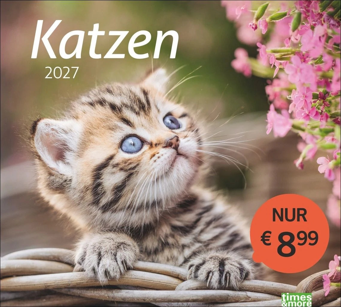 Wandkalender: times&more Katzen Bildkalender 2027