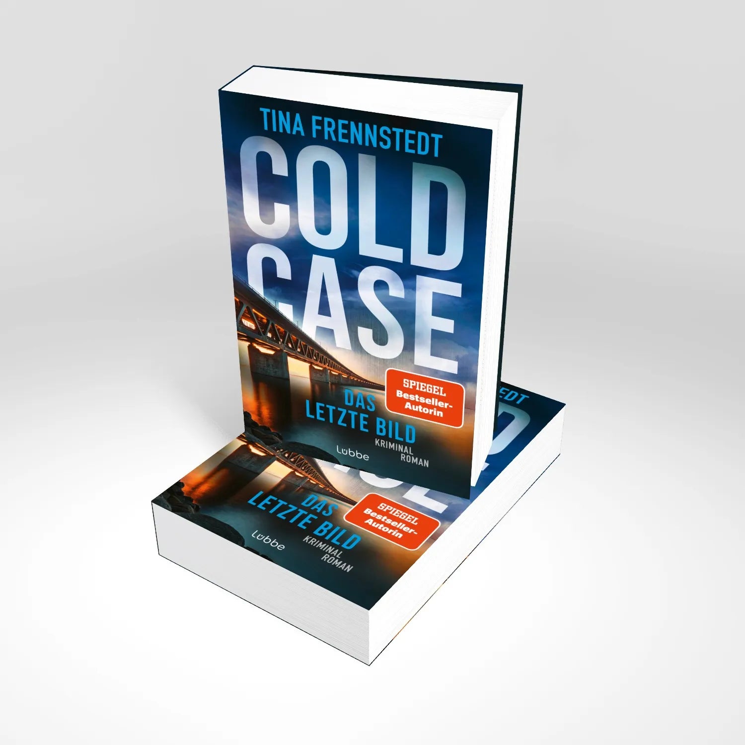 Produktansicht: COLD CASE - Das letzte Bild (Taschenbuch)
