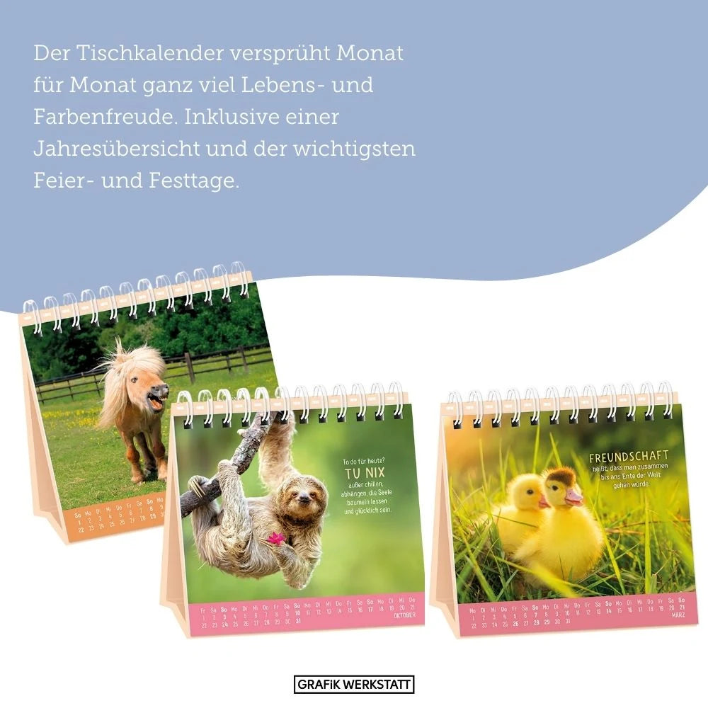 Tischkalender 2027 Happymacher – Ansicht