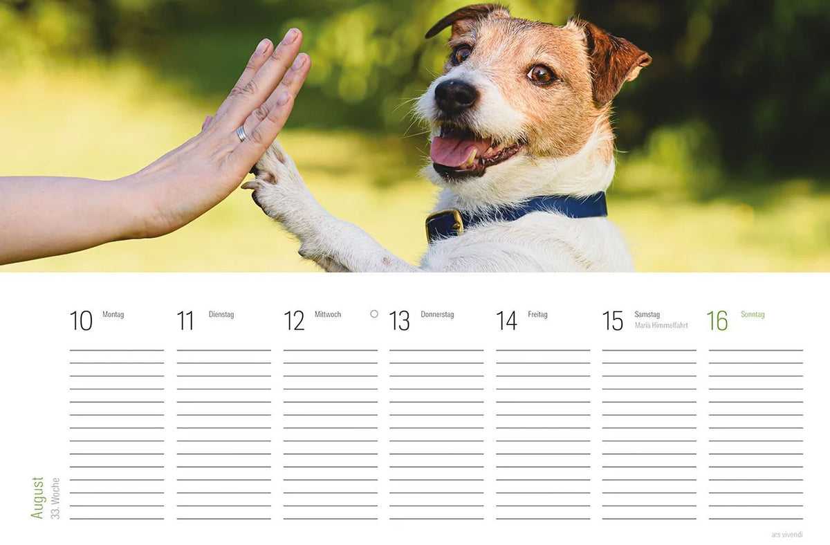 Tischkalender Hunde 2027 – Ansicht