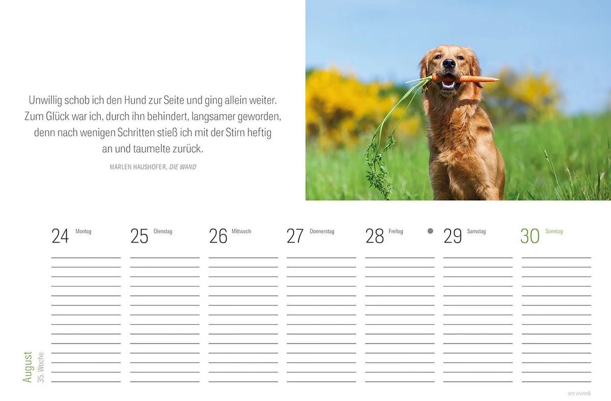 Tischkalender Hunde 2027 – Ansicht