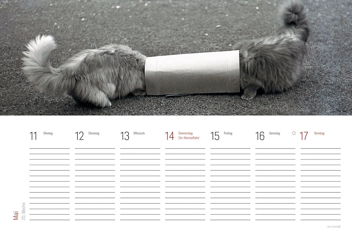 Tischkalender Katzen 2027 – Ansicht