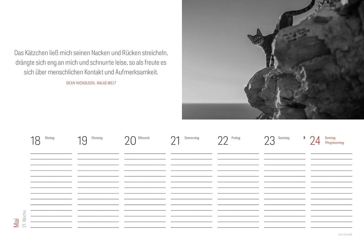 Tischkalender Katzen 2027 – Ansicht