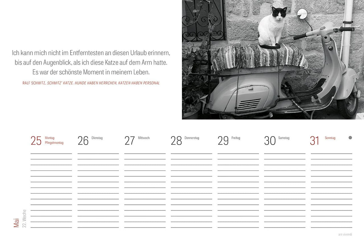 Tischkalender Katzen 2027 – Ansicht