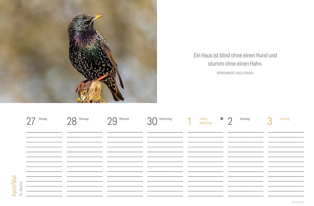 Tischkalender Vogel 2027 – Ansicht