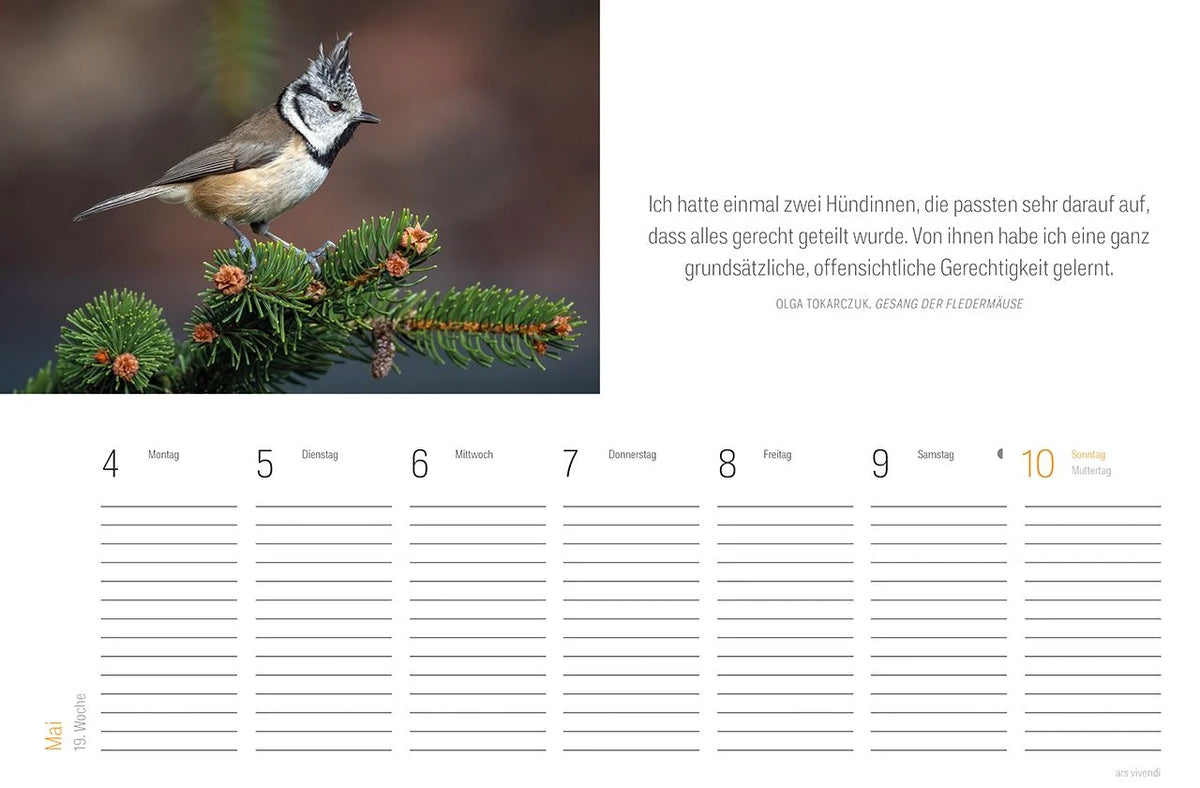Tischkalender Vogel 2027 – Ansicht