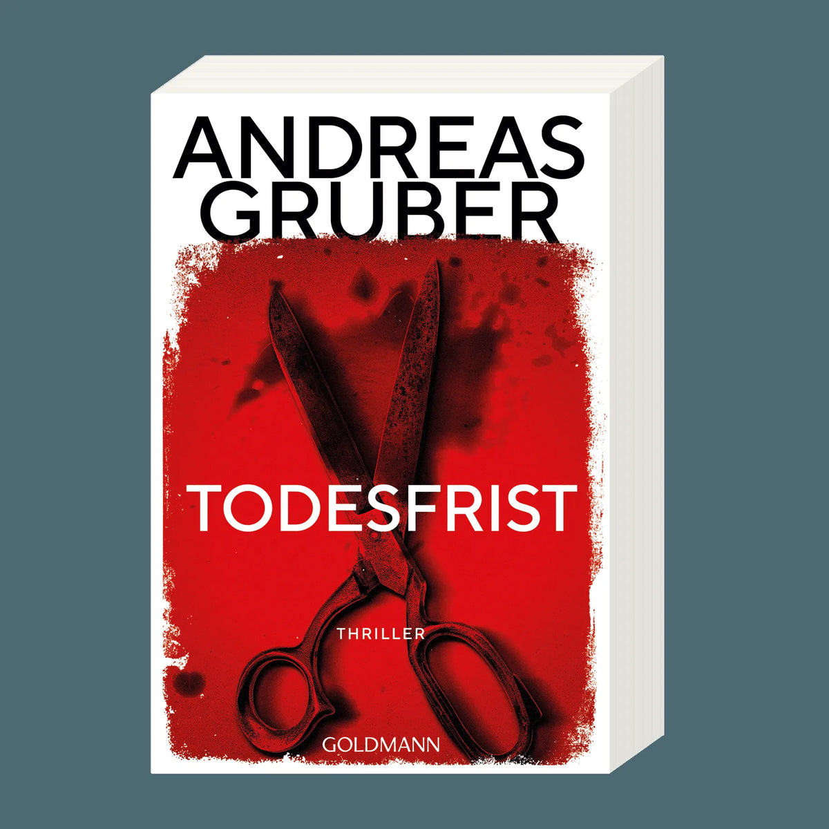Detailansicht: Todesfrist (Taschenbuch)
