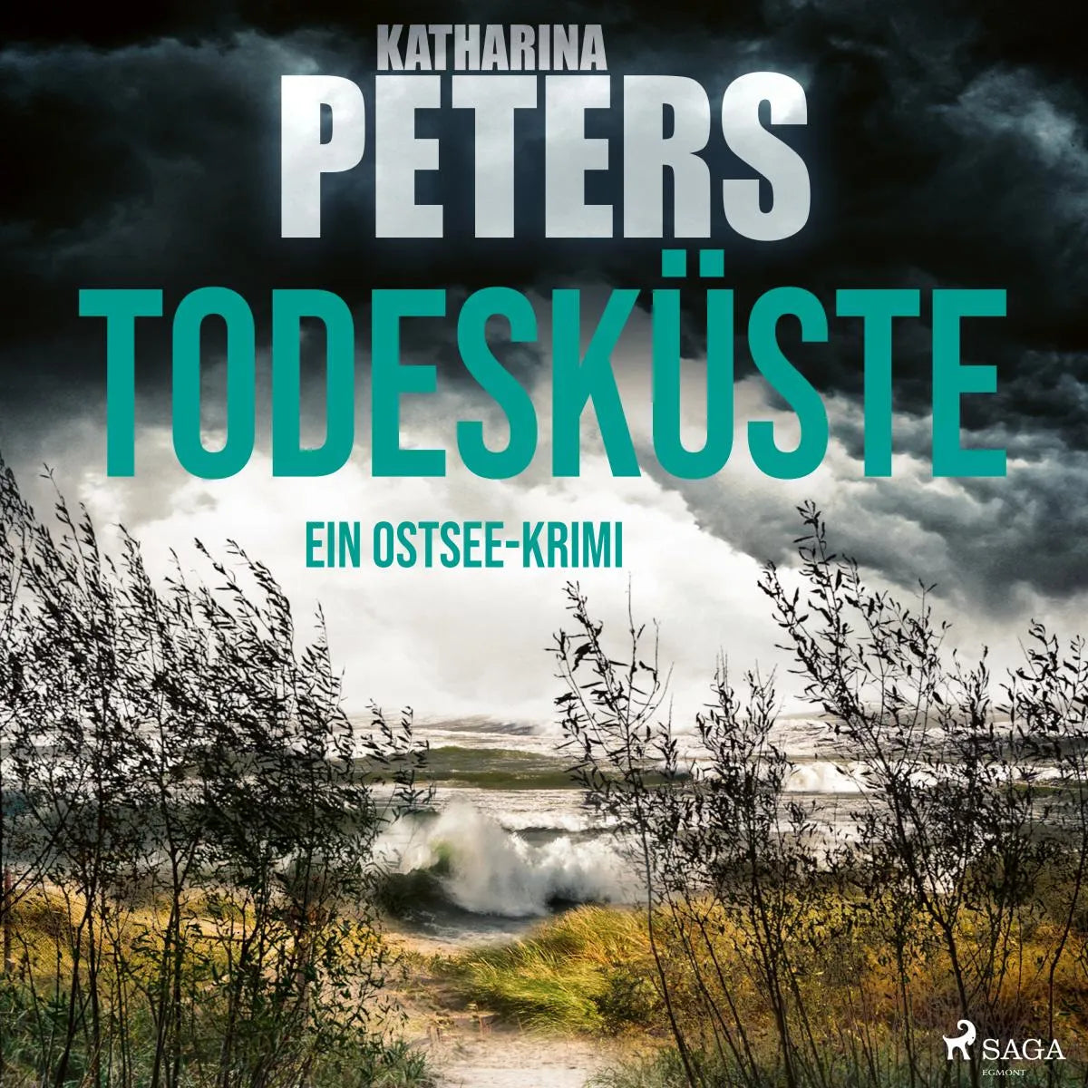 Cover: Todesküste (Hörbuch Download) von Katharina Peters