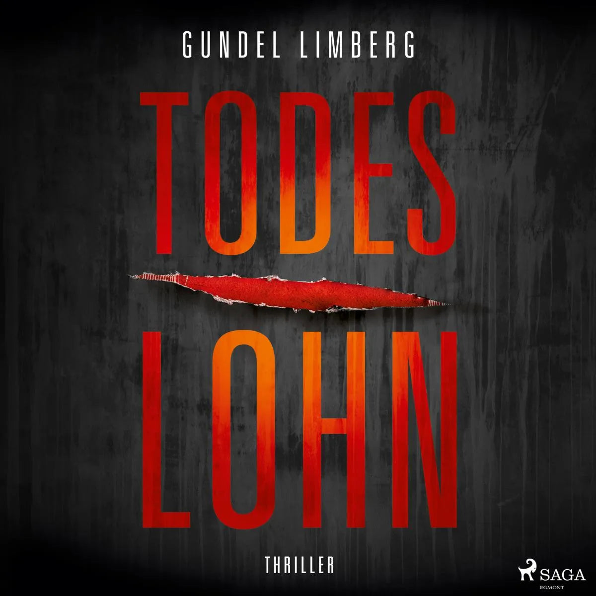 Cover: Todeslohn: Thriller (Hörbuch Download) von Gundel Limberg