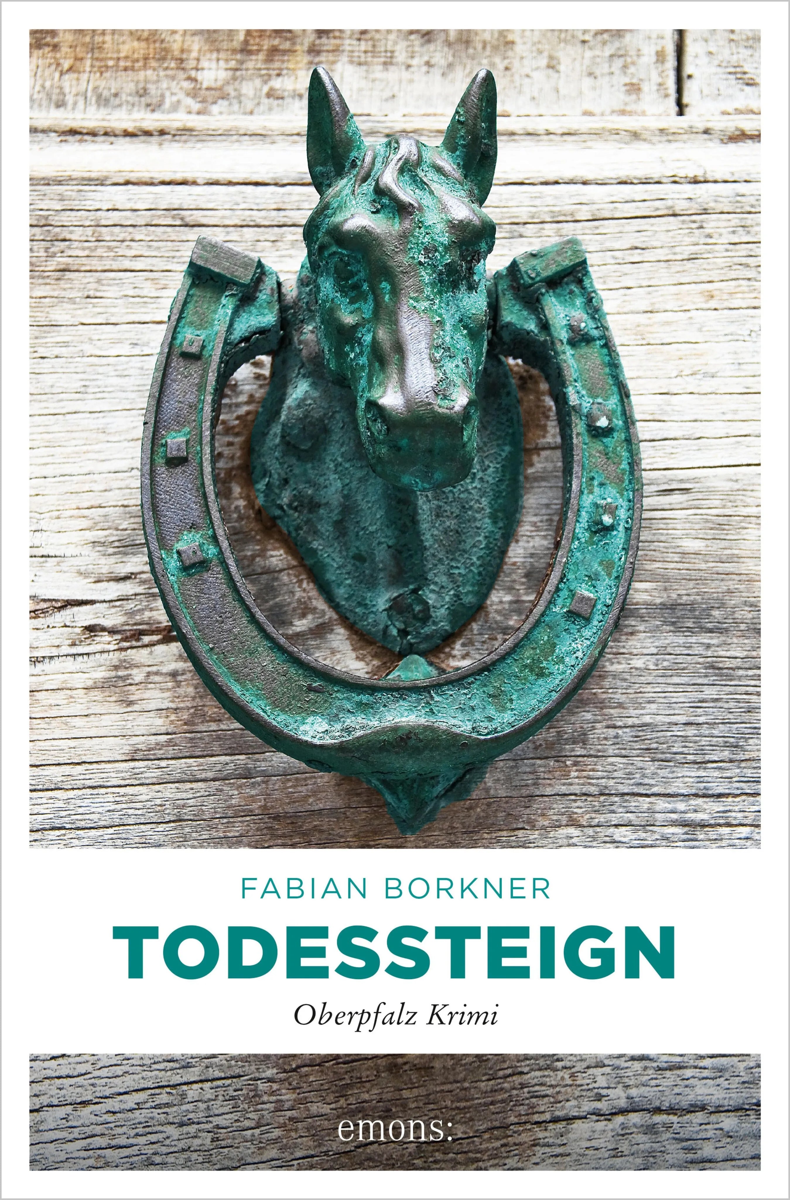Cover: Todessteign (E-Book) von Fabian Borkner