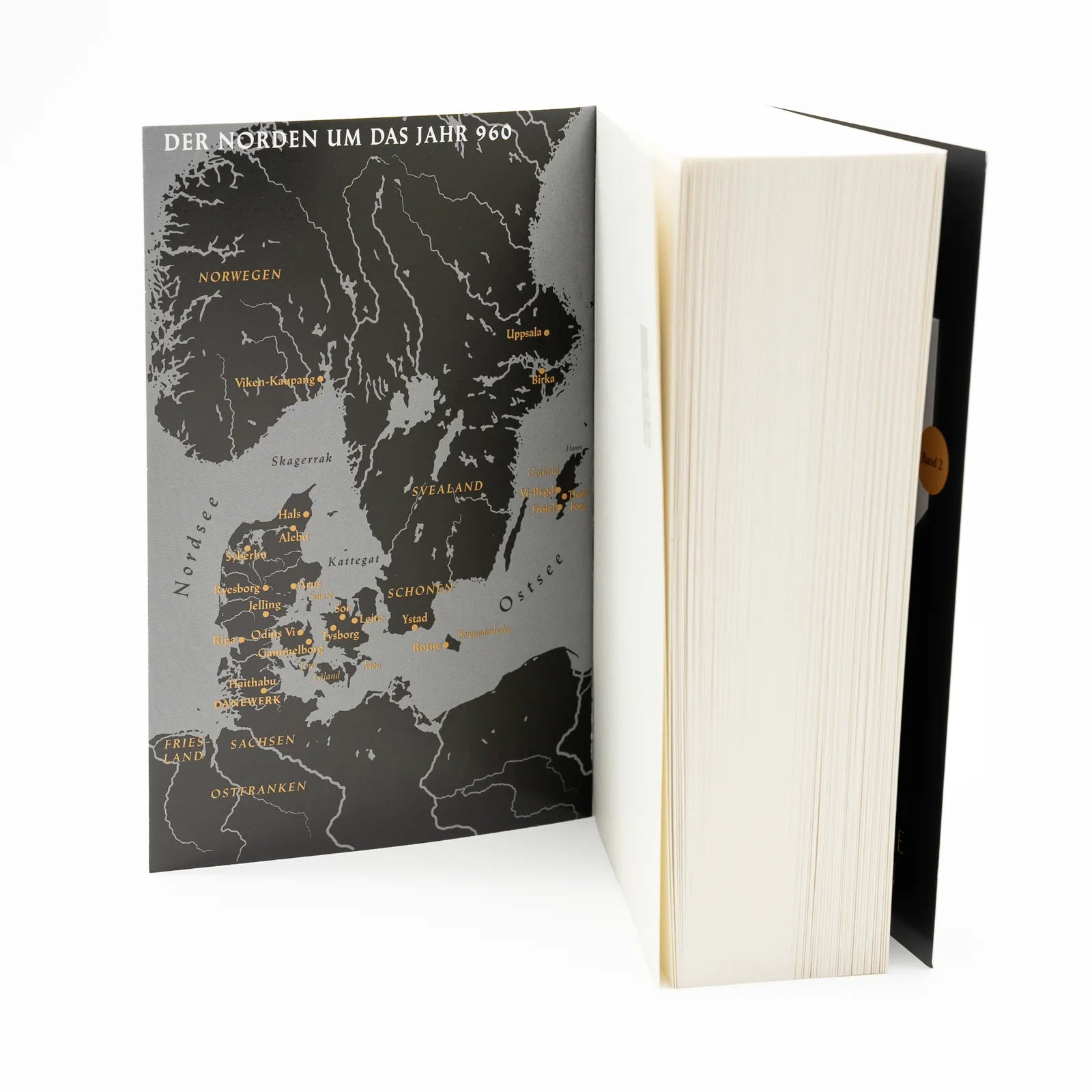 Produktansicht: Millennium Kingdom: Der Bastard (Taschenbuch)