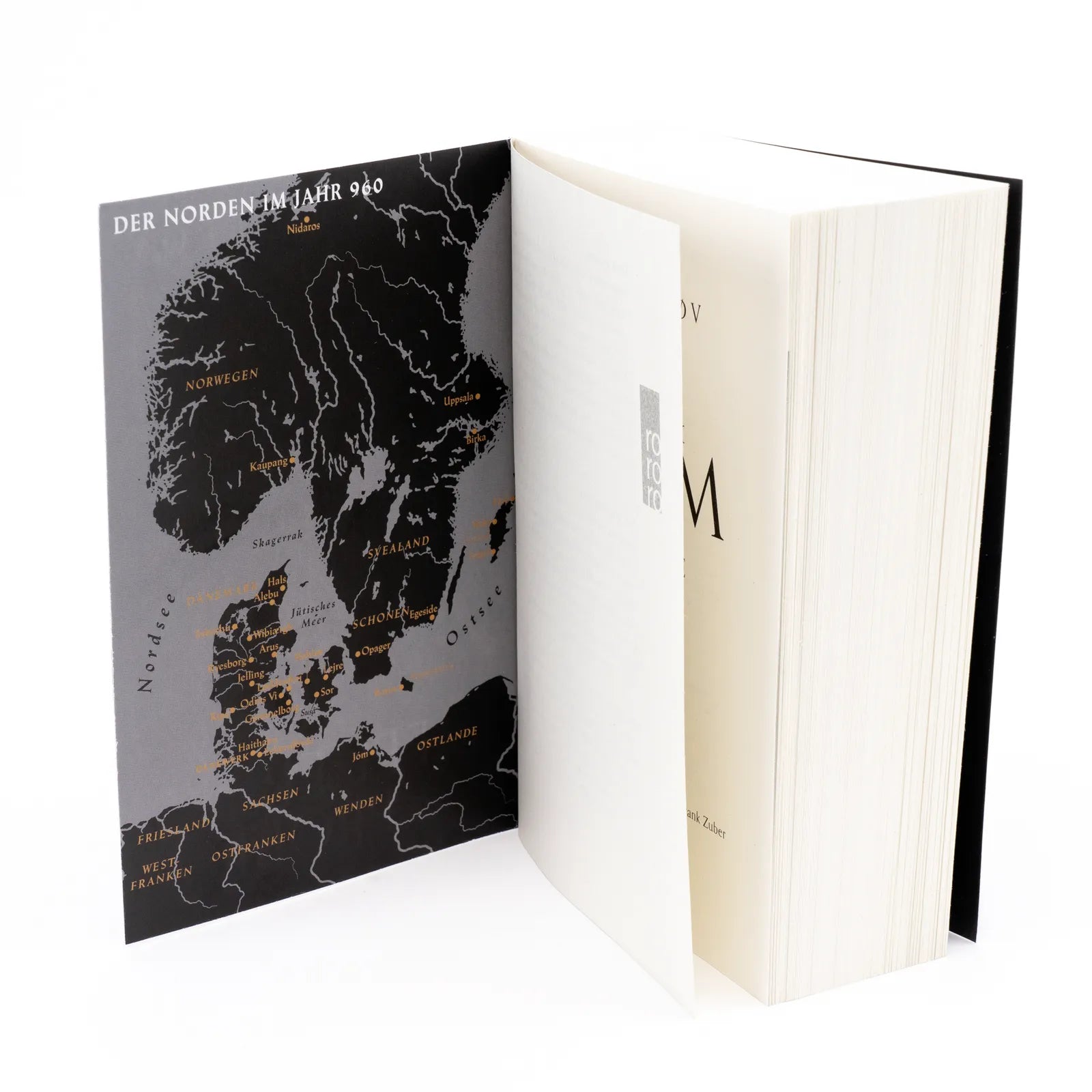 Produktansicht: Millennium Kingdom: Die Feuerprobe (Taschenbuch)