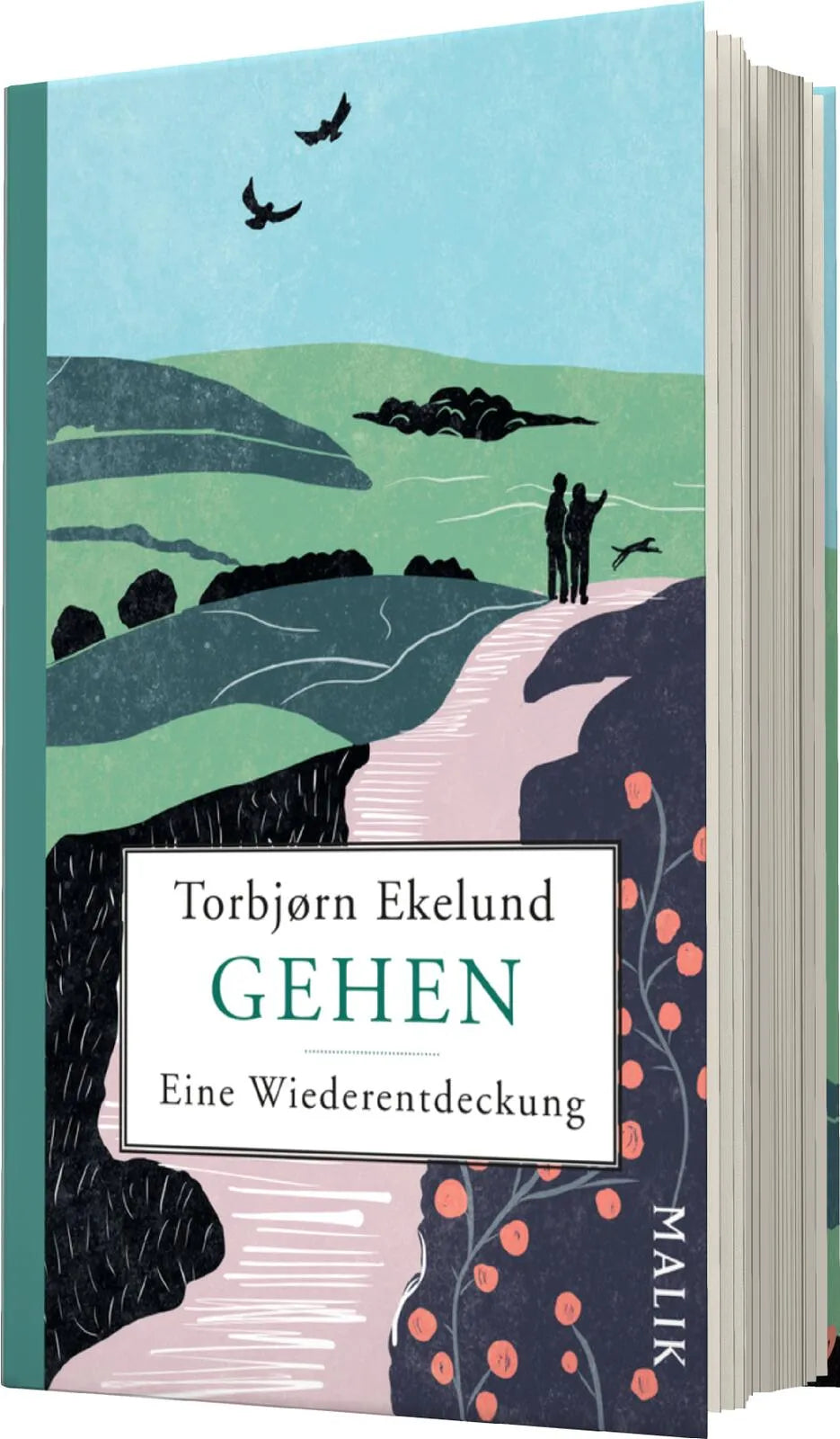 Produktansicht: Gehen (Gebundene Ausgabe)