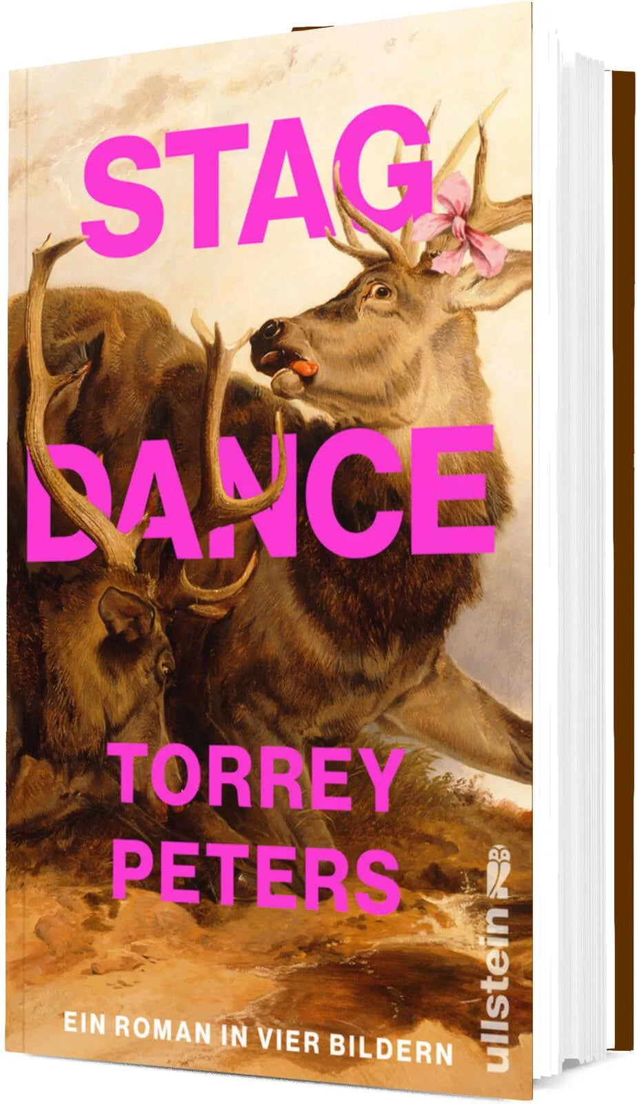Produktansicht: Stag Dance (Gebundene Ausgabe)