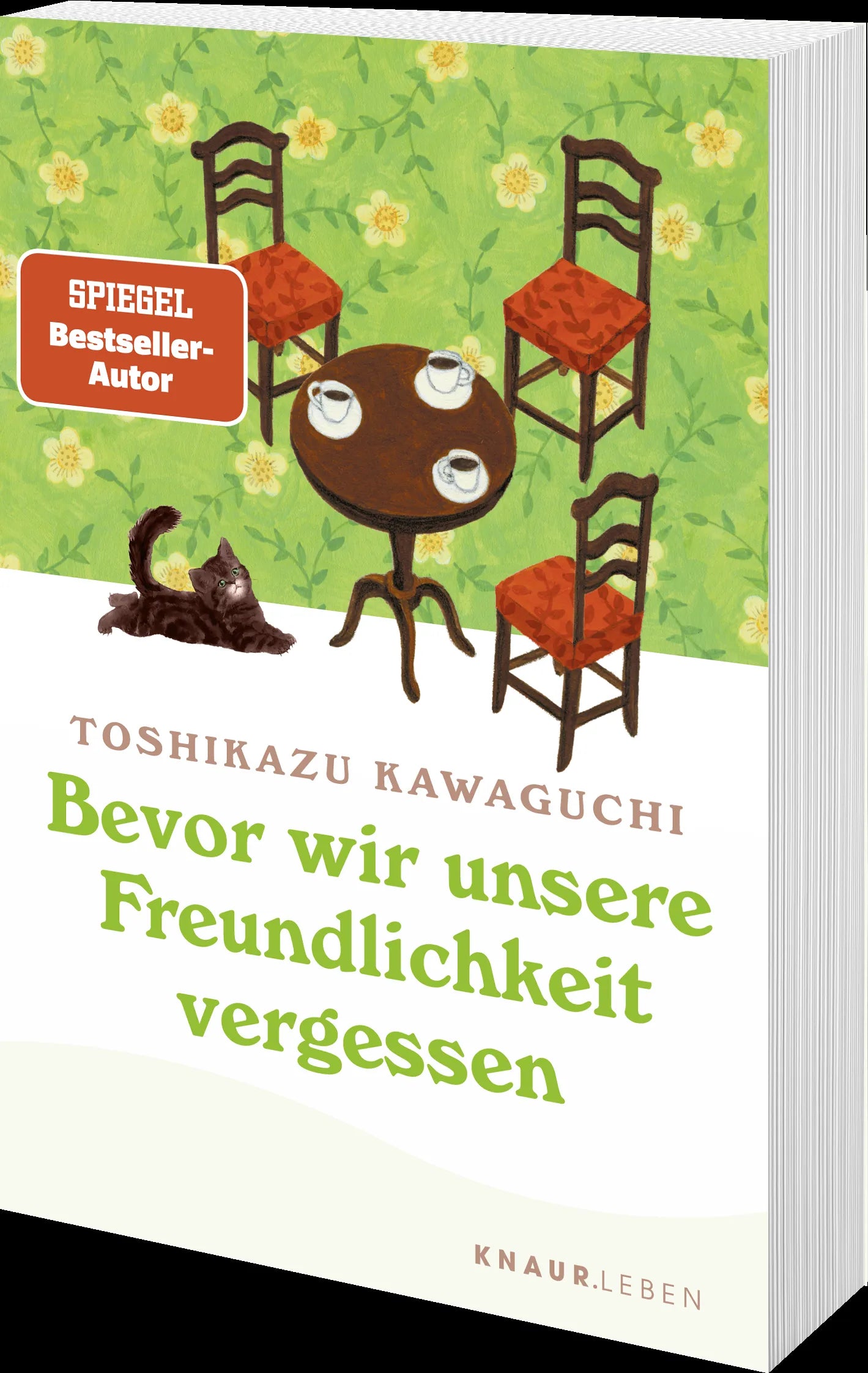 Produktansicht: Bevor wir unsere Freundlichkeit vergessen (Taschenbuch)