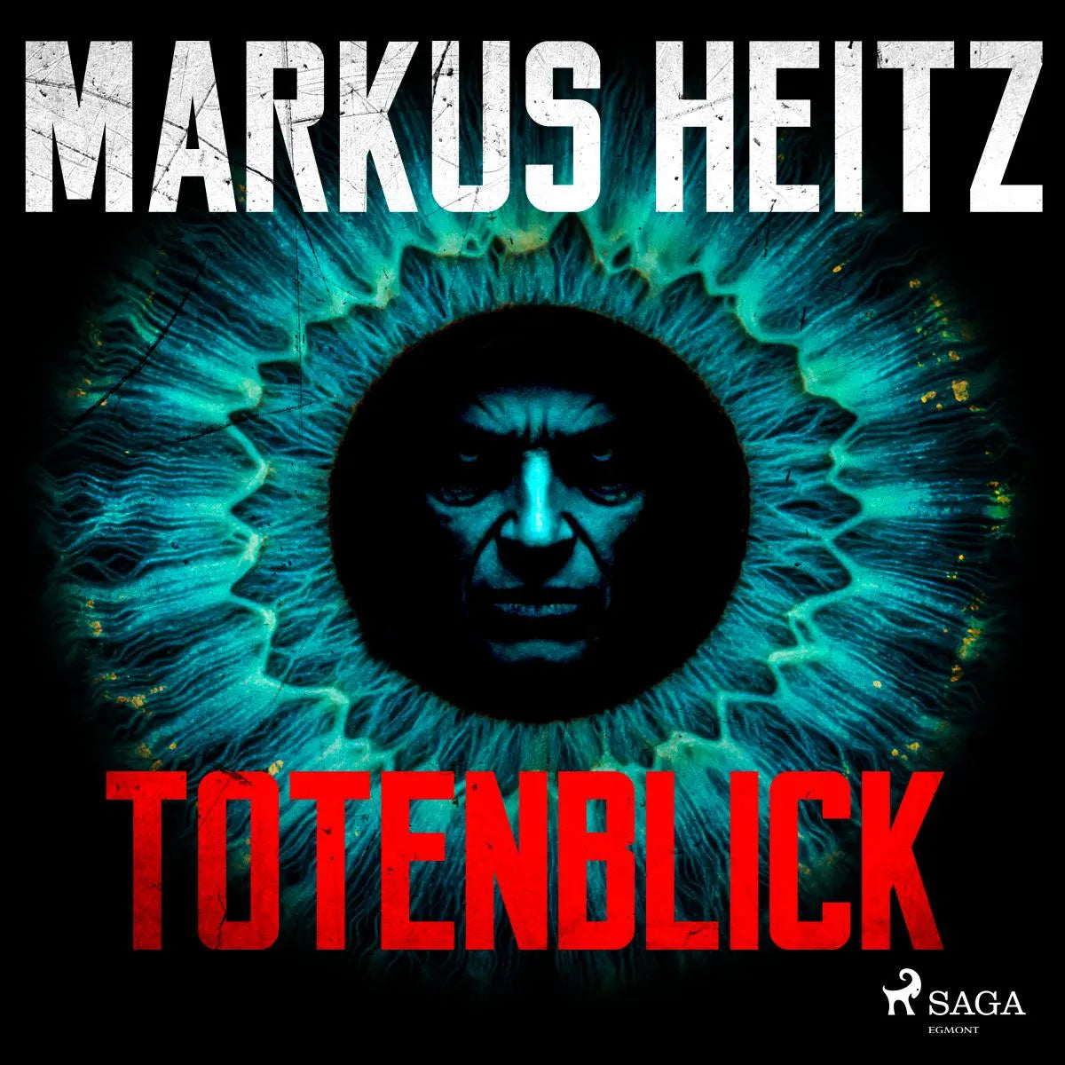 Cover: Totenblick (Hörbuch Download) von Markus Heitz