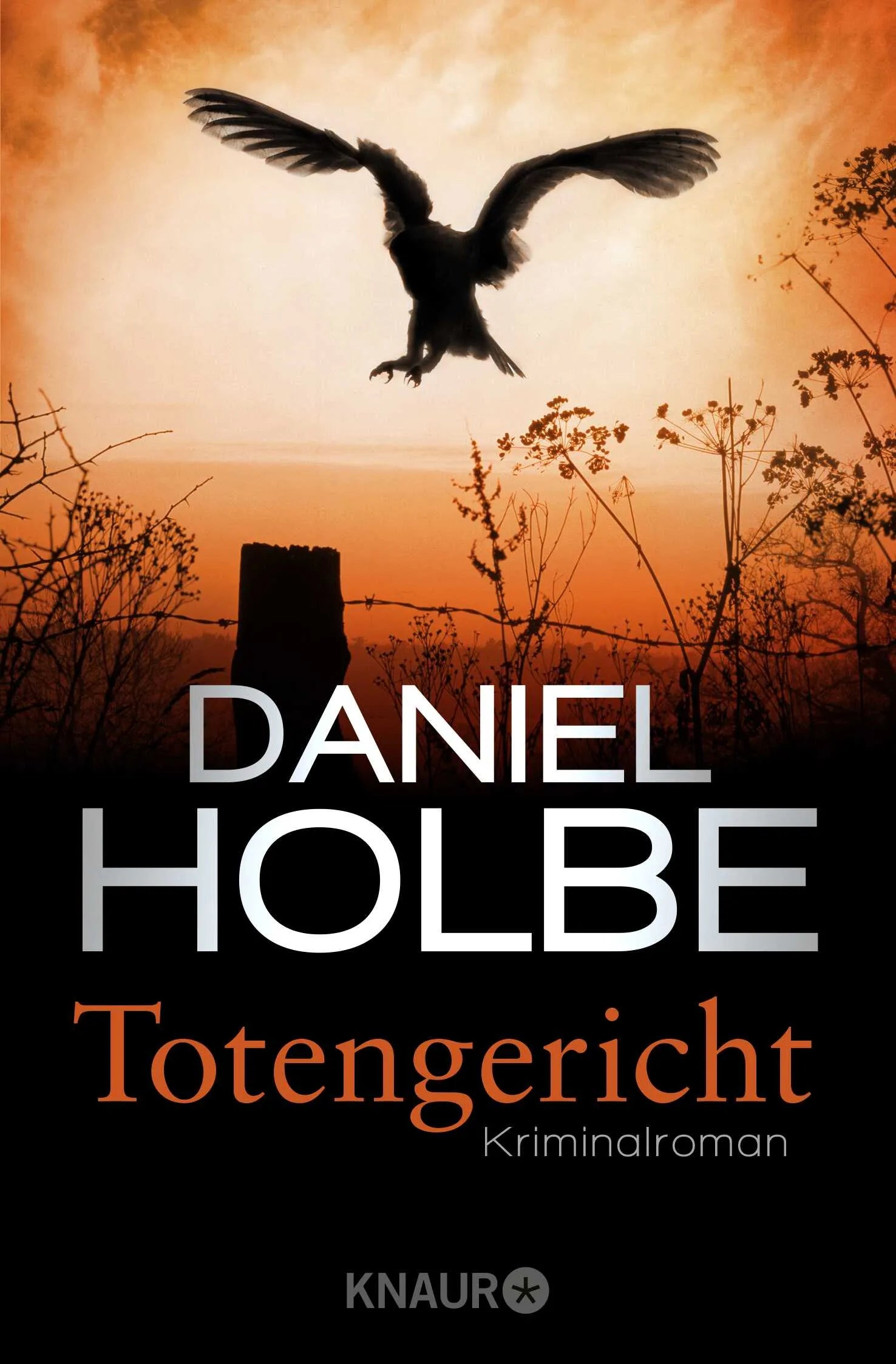 Buchcover von 'Totengericht' - Taschenbuch von Daniel Holbe