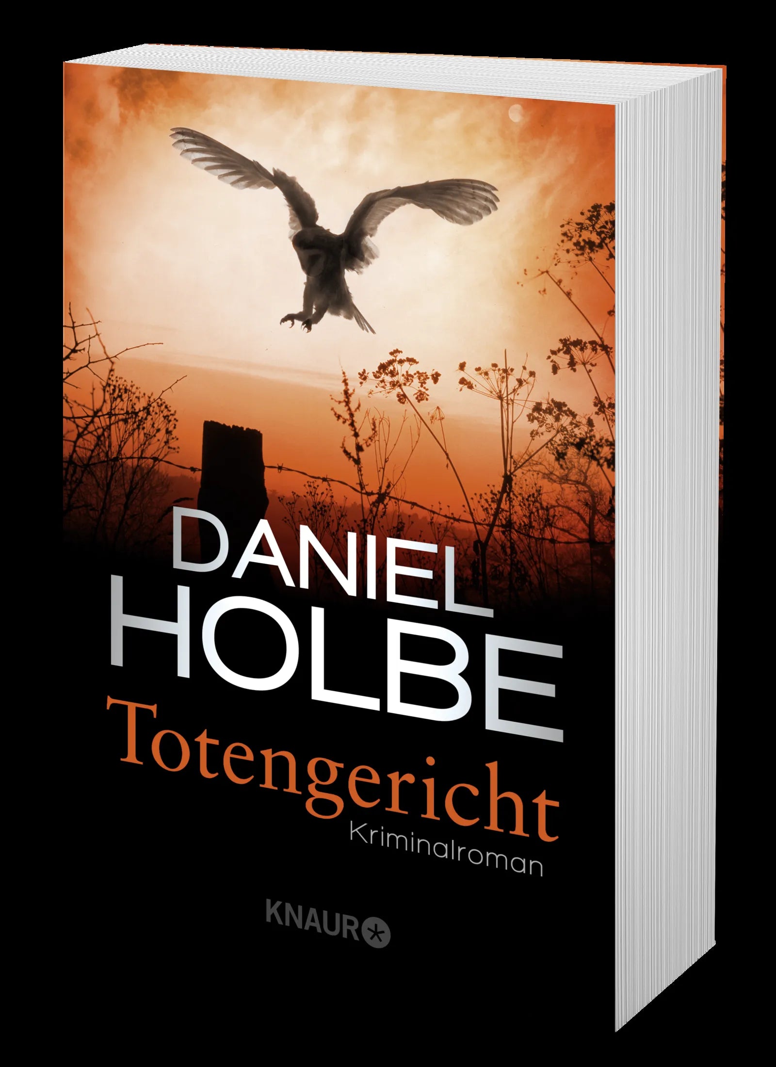 Daniel Holbe - Totengericht