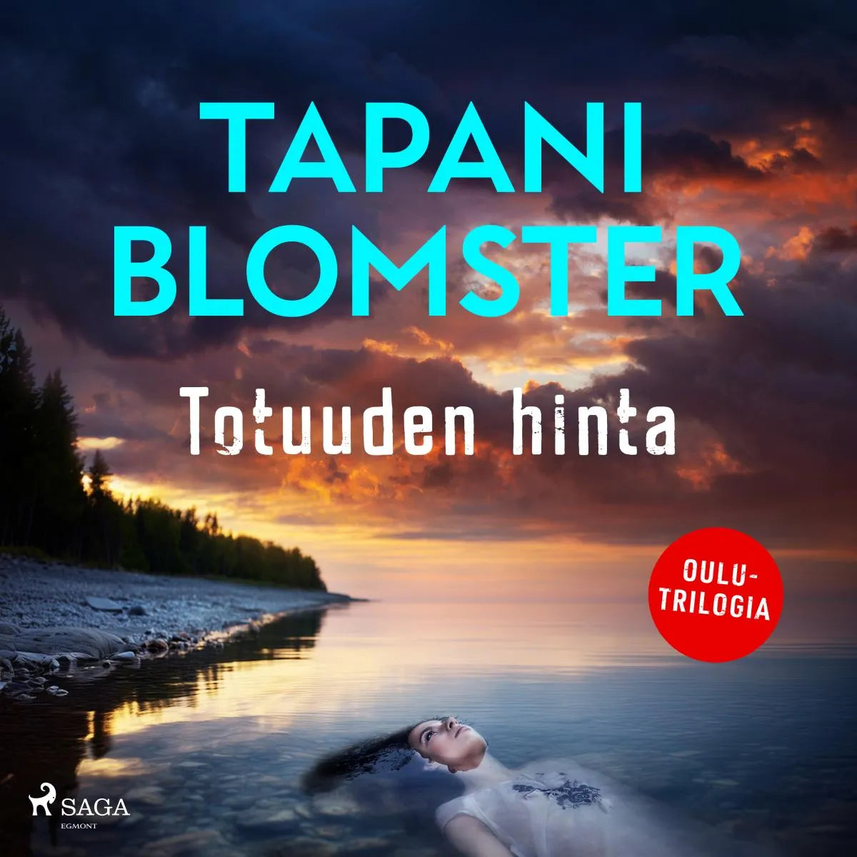 Cover: Totuuden hinta (Hörbuch Download) von Tapani Blomster