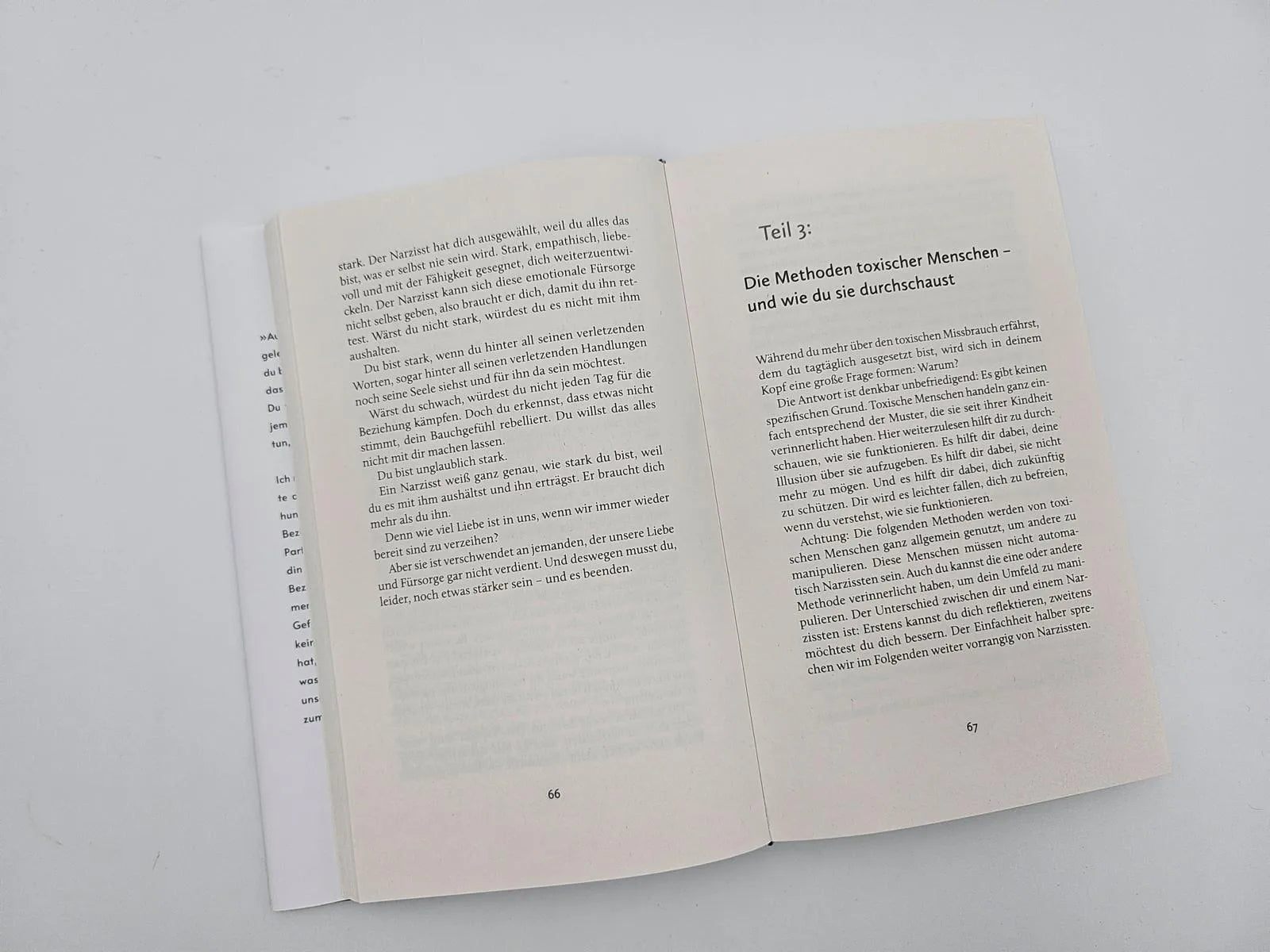Detailansicht: Toxic (Hardcover)