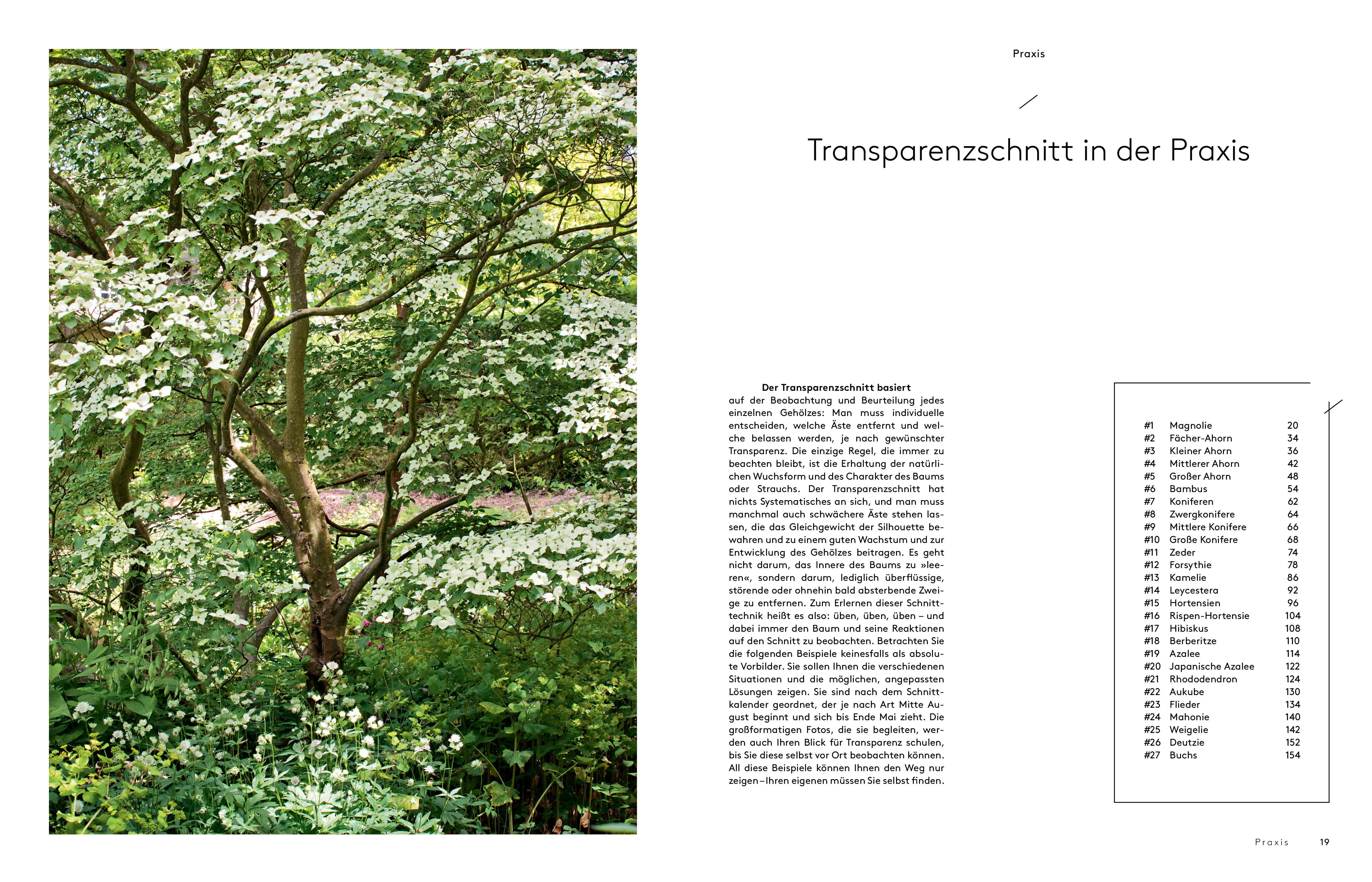 Detailansicht: Transparenzschnitt (Hardcover)