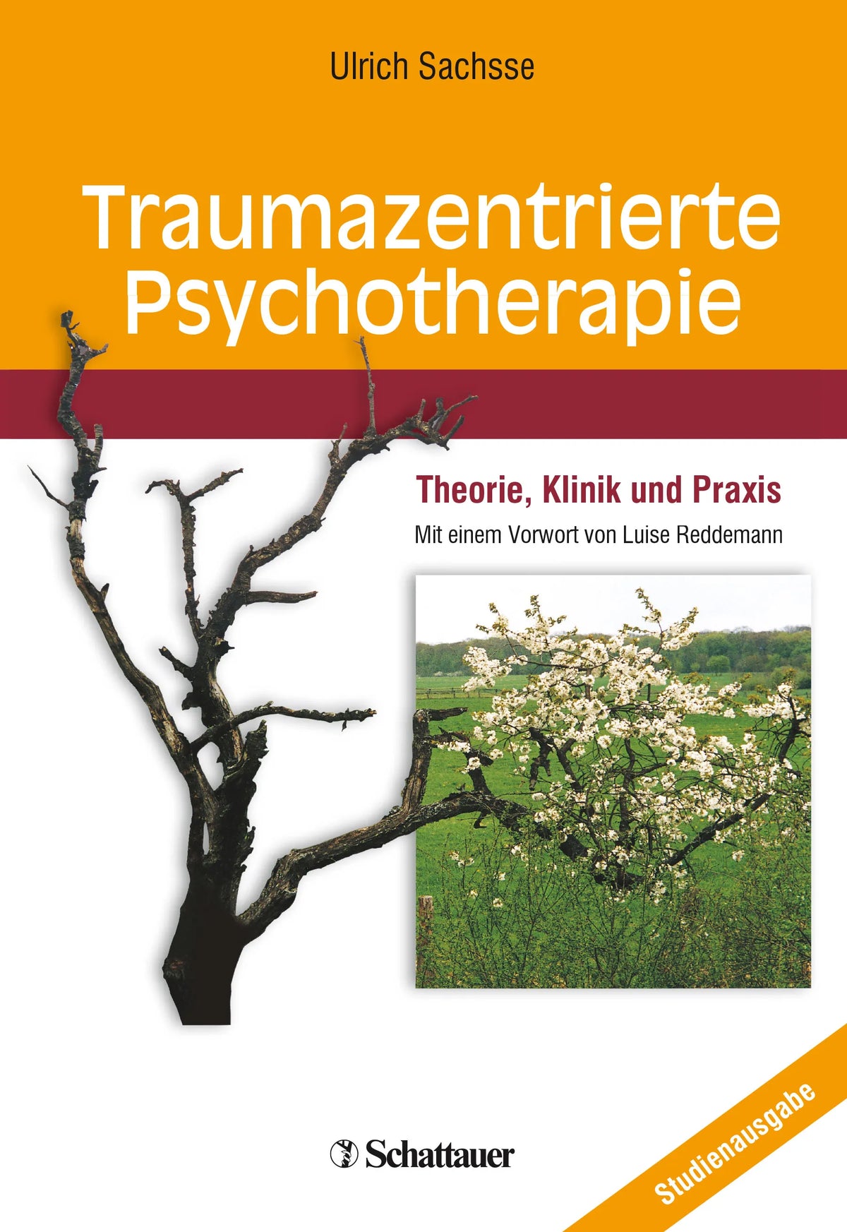 Buchcover von 'Traumazentrierte Psychotherapie' - Paperback von Ulrich Sachsse