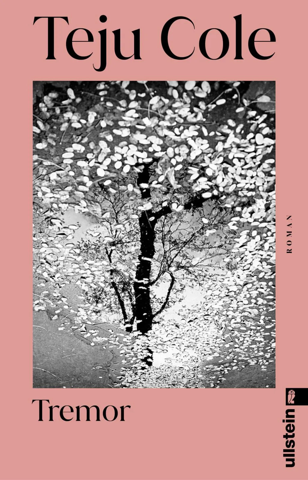 Buchcover von 'Tremor' - Taschenbuch von Teju Cole