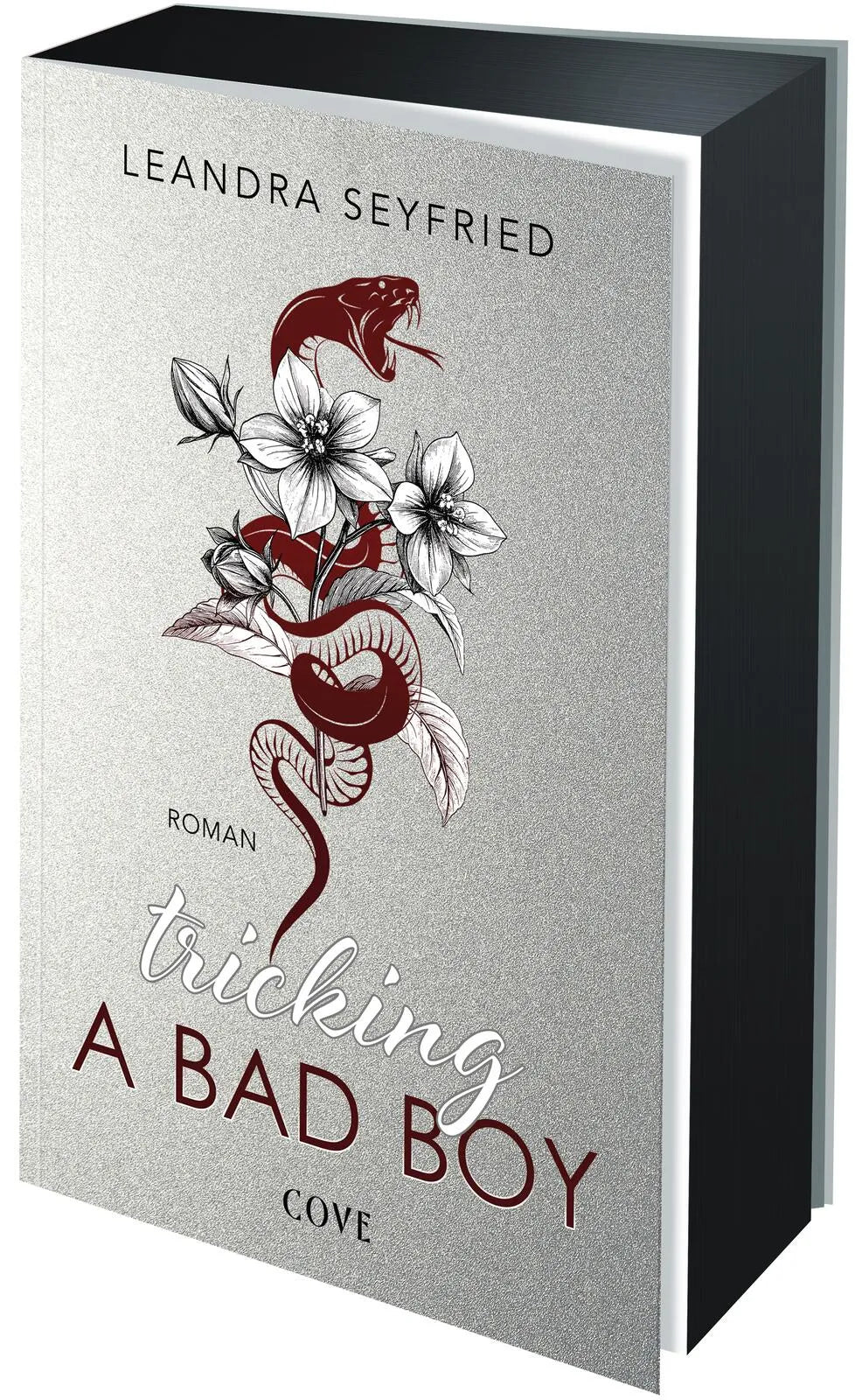 Buchcover von 'Tricking A Bad Boy' - Paperback von Leandra Seyfried