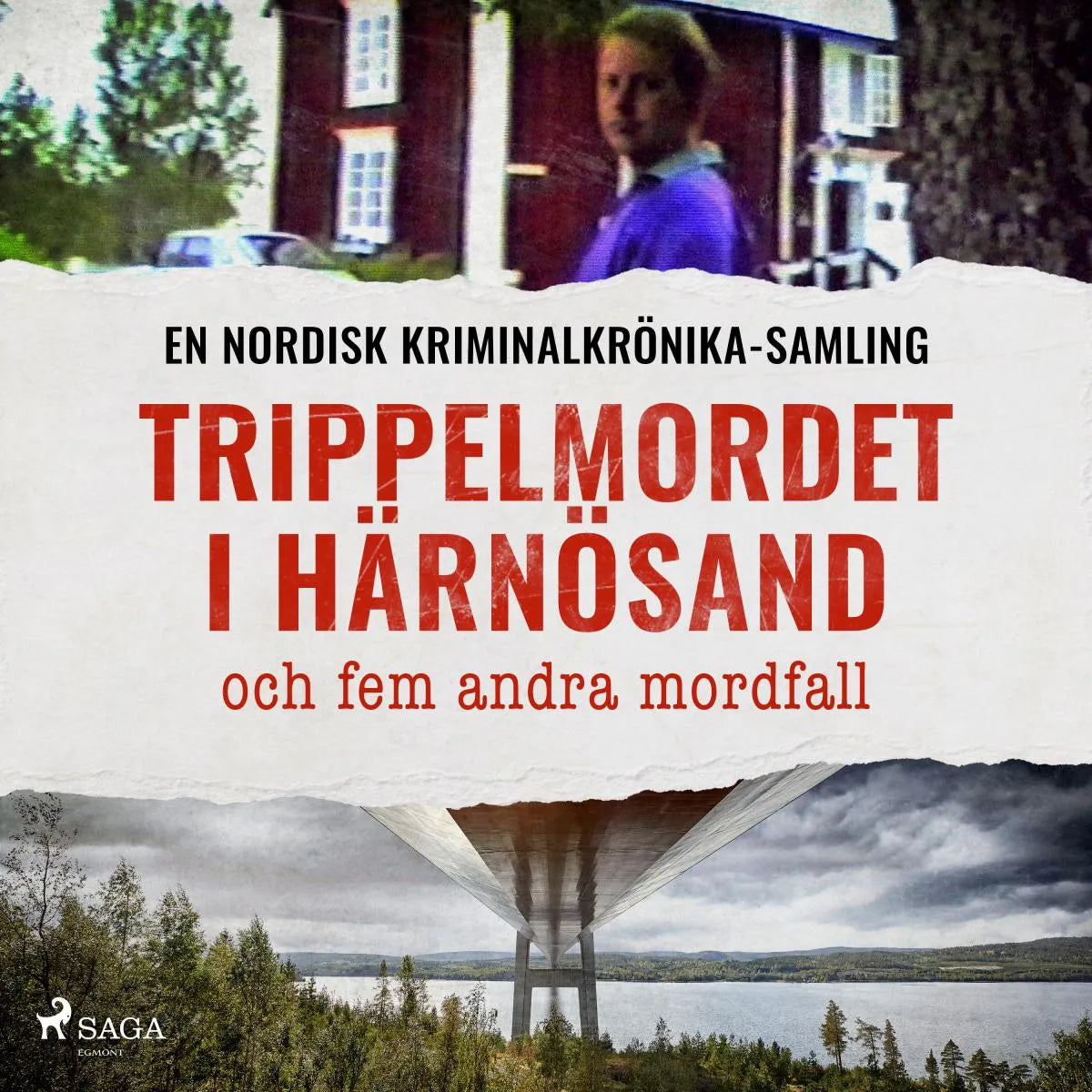 Cover: Trippelmordet i Härnösand och fem andra mordfall (Hörbuch Download) von Diverse