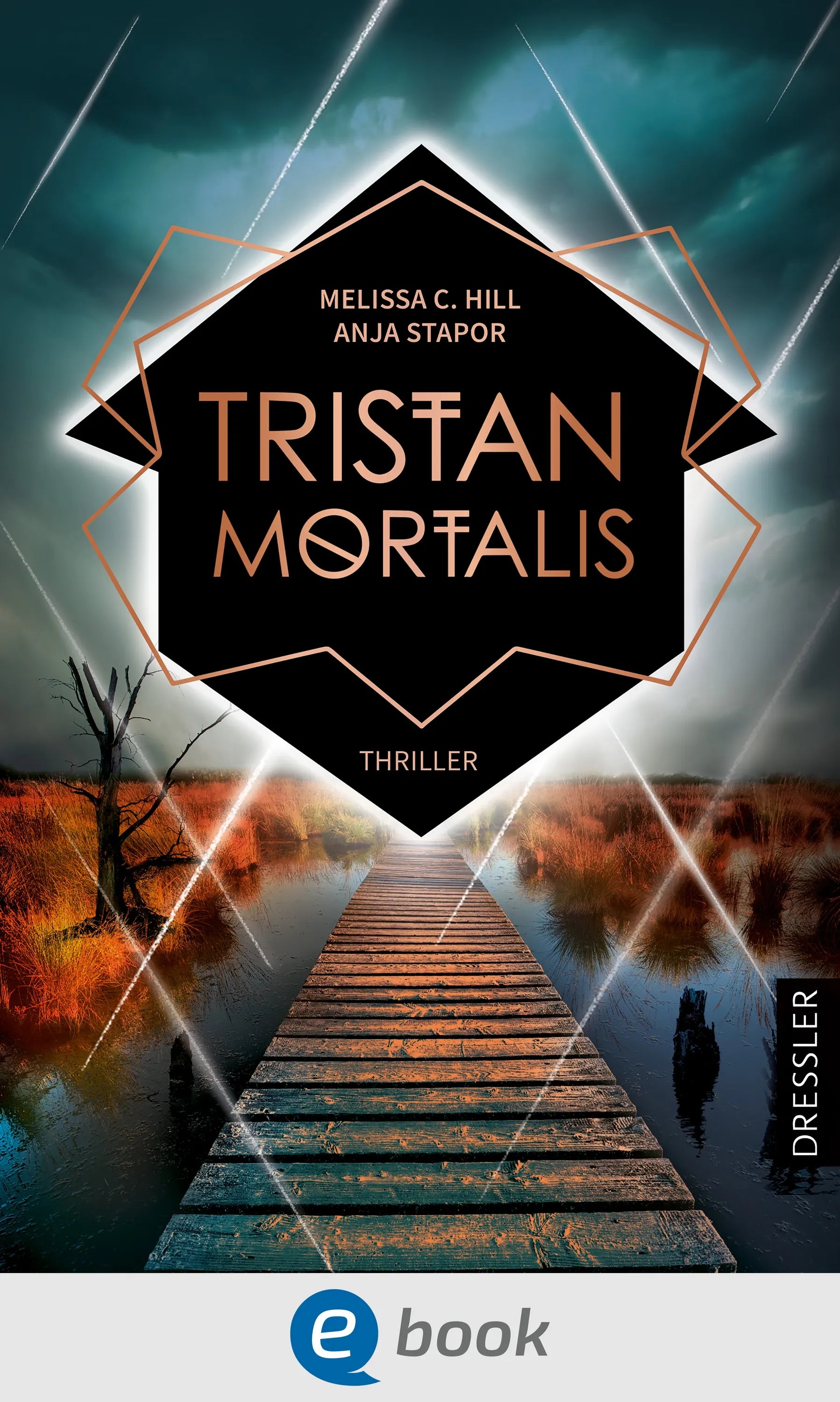 Cover: Tristan Mortalis (E-Book) von Melissa C. Hill