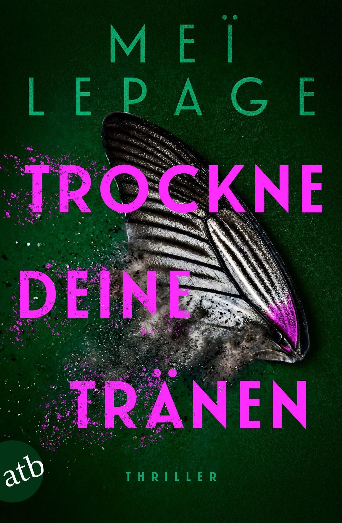Cover: Trockne deine Tränen (Taschenbuch) von Meï Lepage