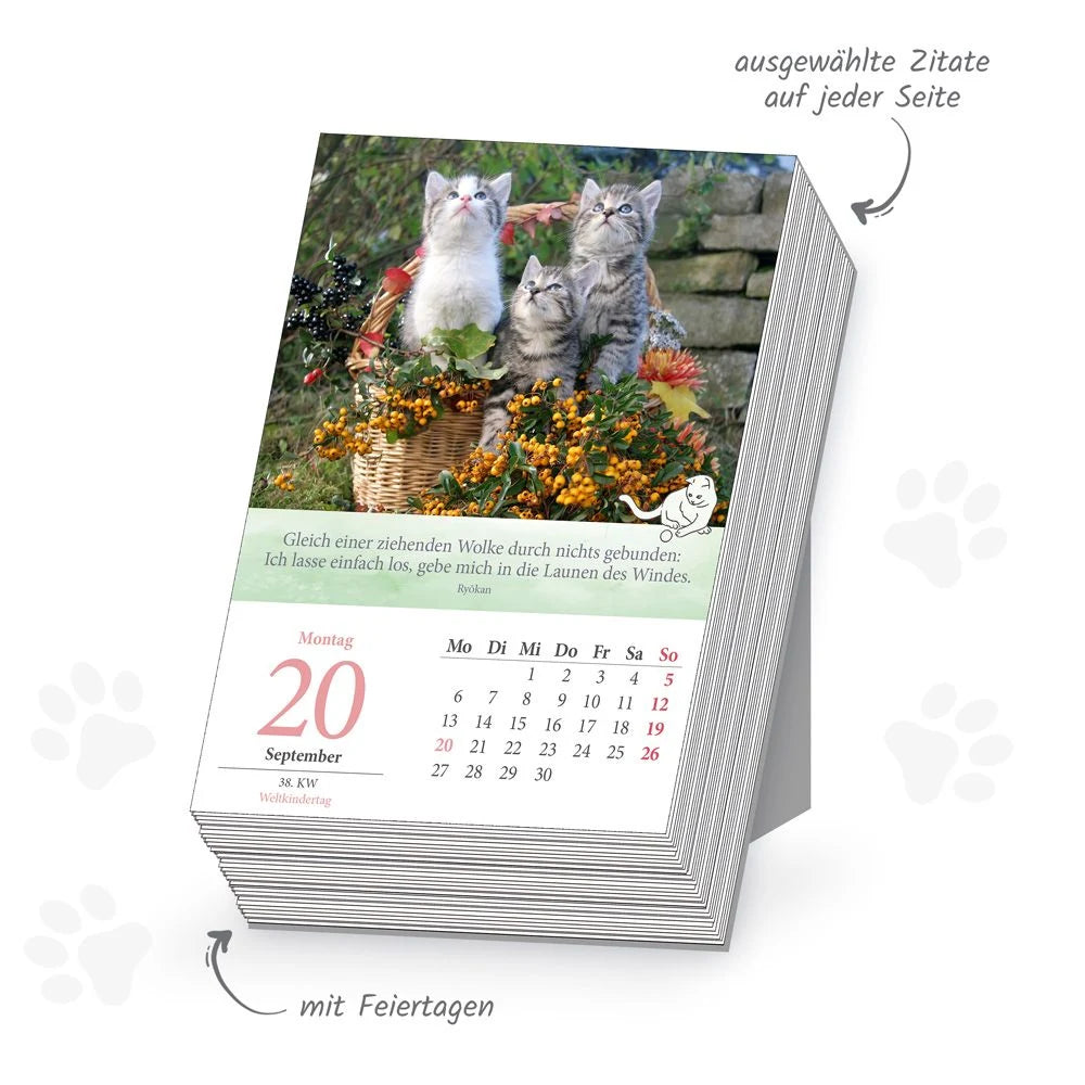 TRÖTSCH - Abreißkalender Katzen 2027 – Ansicht