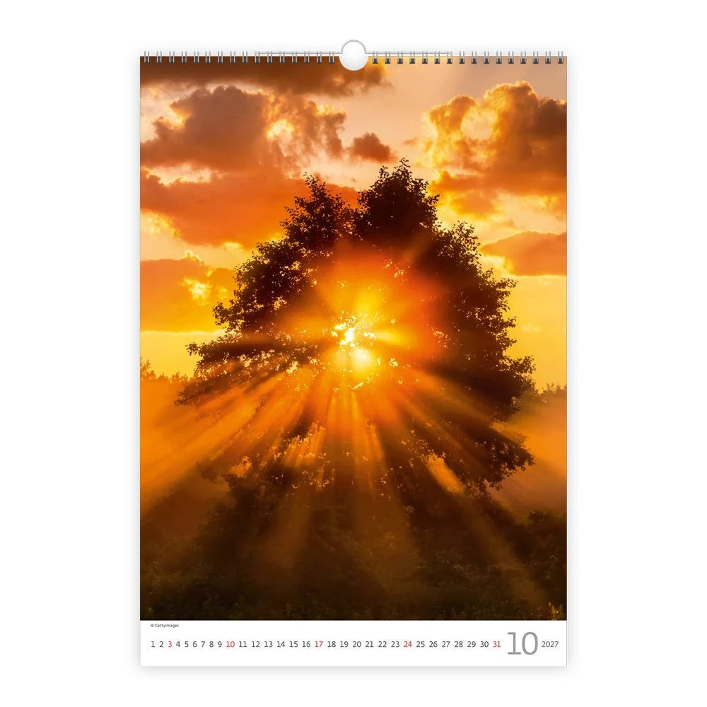 TRÖTSCH - Wandkalender Trees 2027 – Ansicht