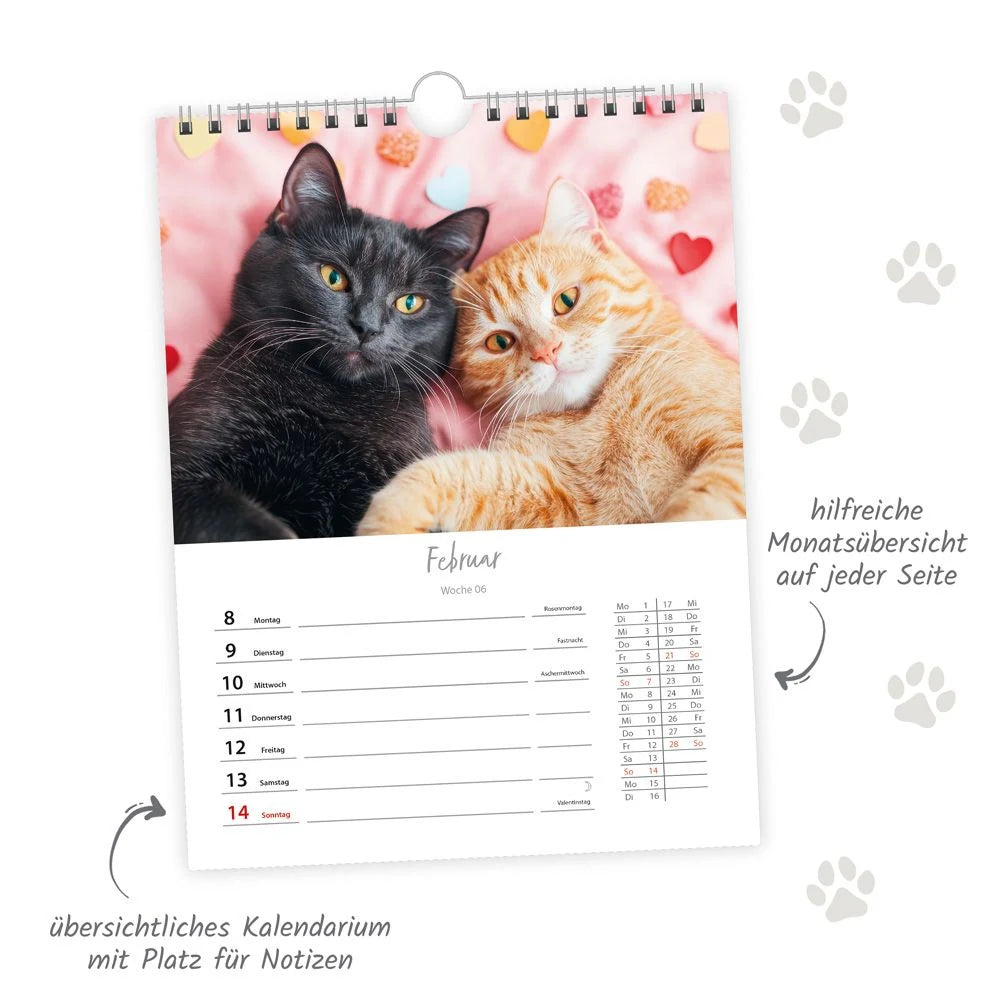 TRÖTSCH - Wochenkalender zum Hängen Katzen 2027 – Ansicht