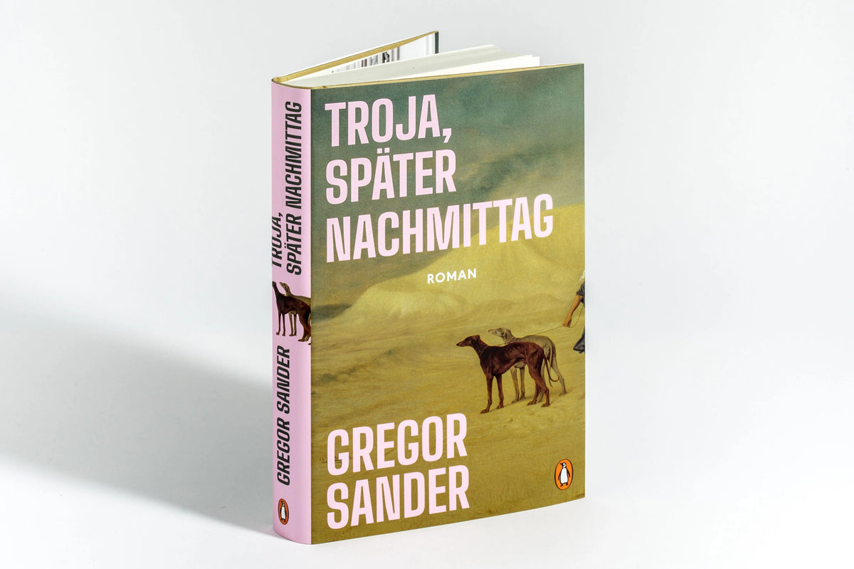 Detailansicht: Troja, später Nachmittag (Hardcover)