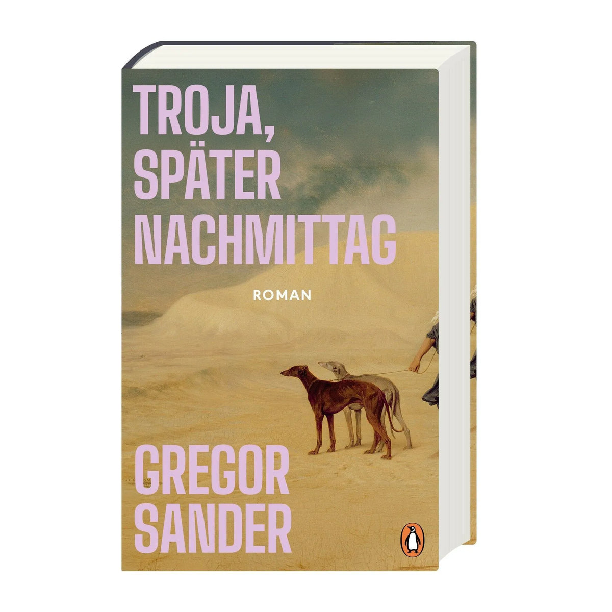 Detailansicht: Troja, später Nachmittag (Hardcover)