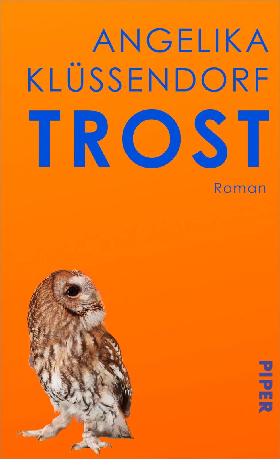 Cover: Trost (Hardcover) von Angelika Klüssendorf