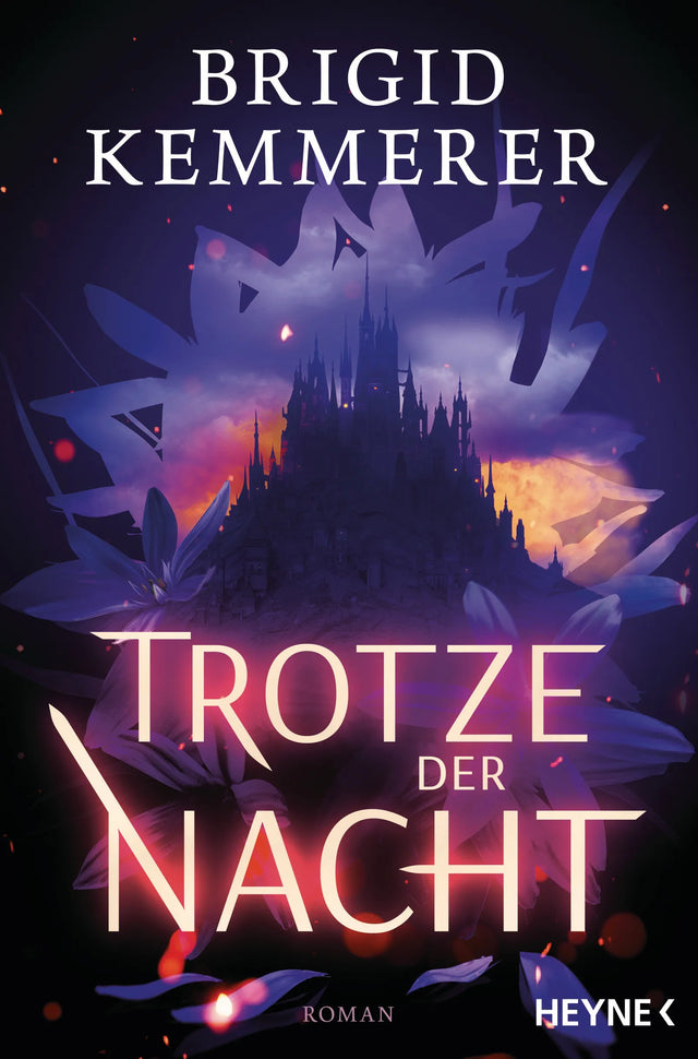 Cover: Trotze der Nacht (E-Book) von Brigid Kemmerer