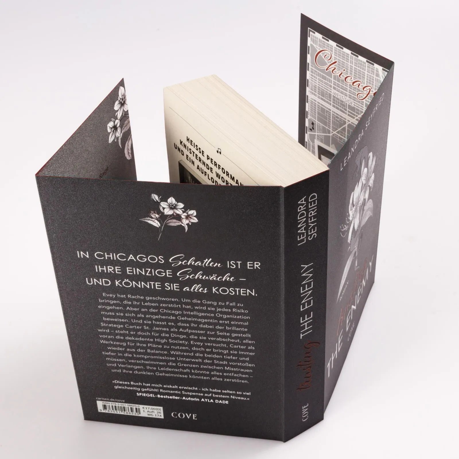 Detailansicht: Trusting The Enemy (Paperback)