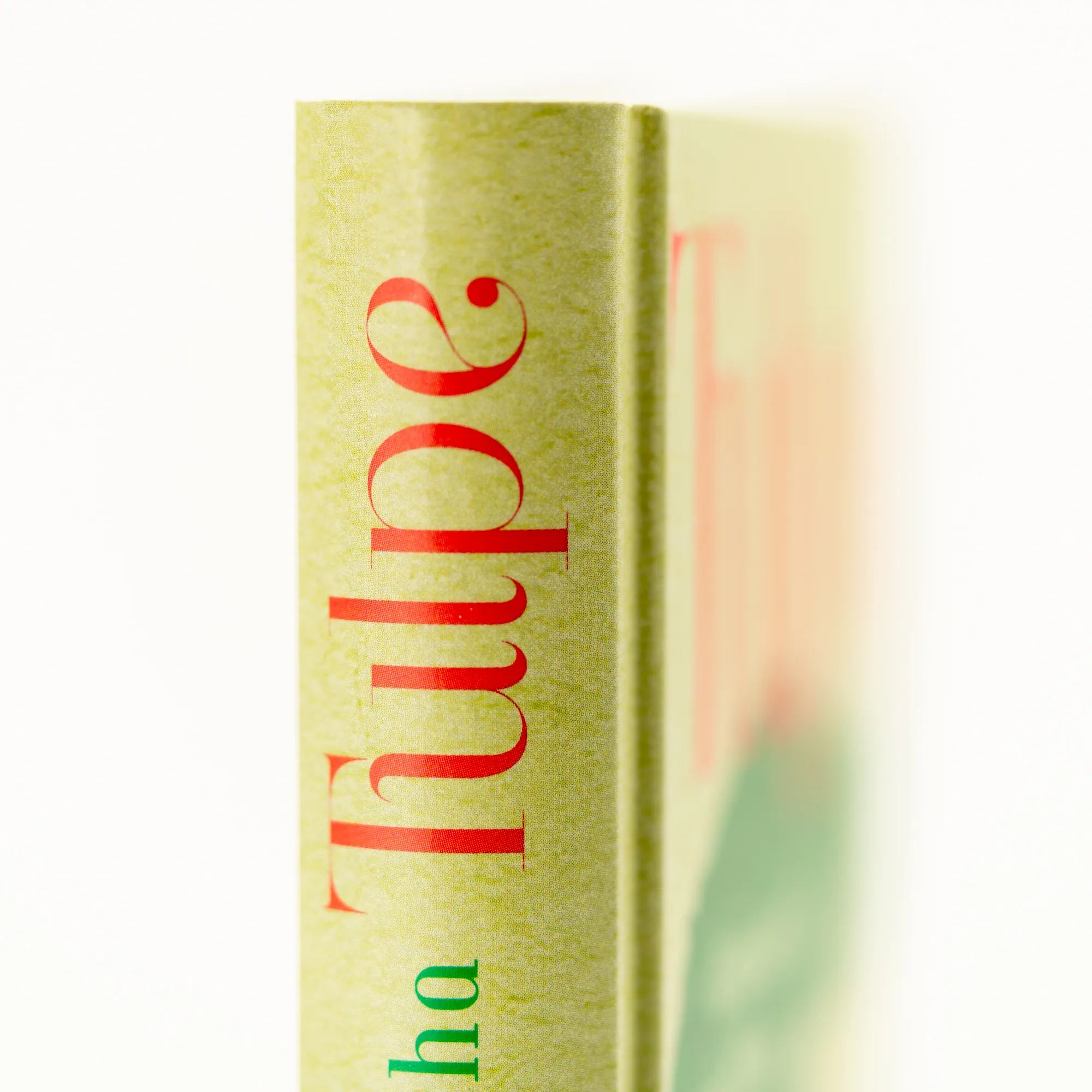 Abbildung von 'Tulpe'