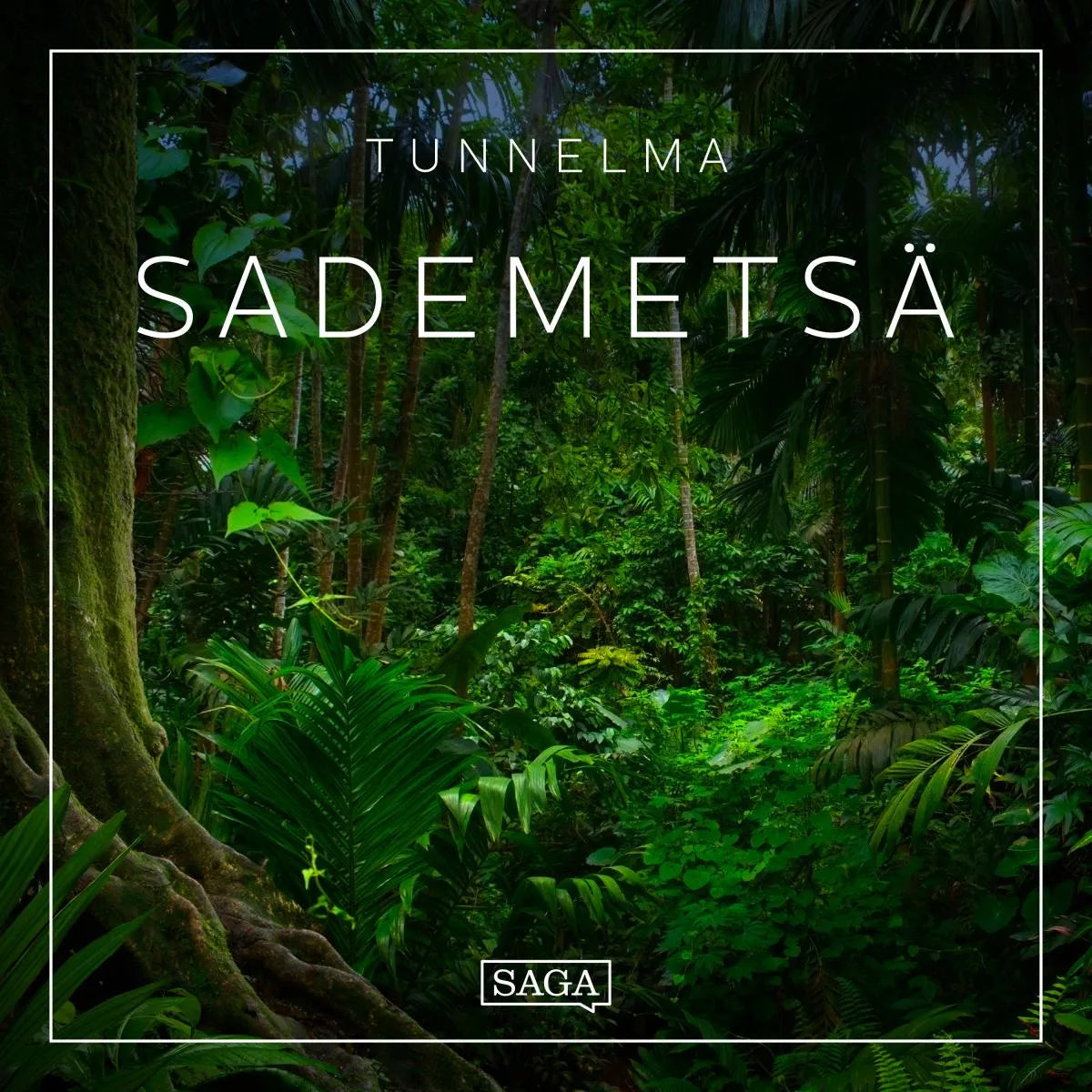 Cover: Tunnelma - Sademetsä (Hörbuch Download) von Rasmus Broe